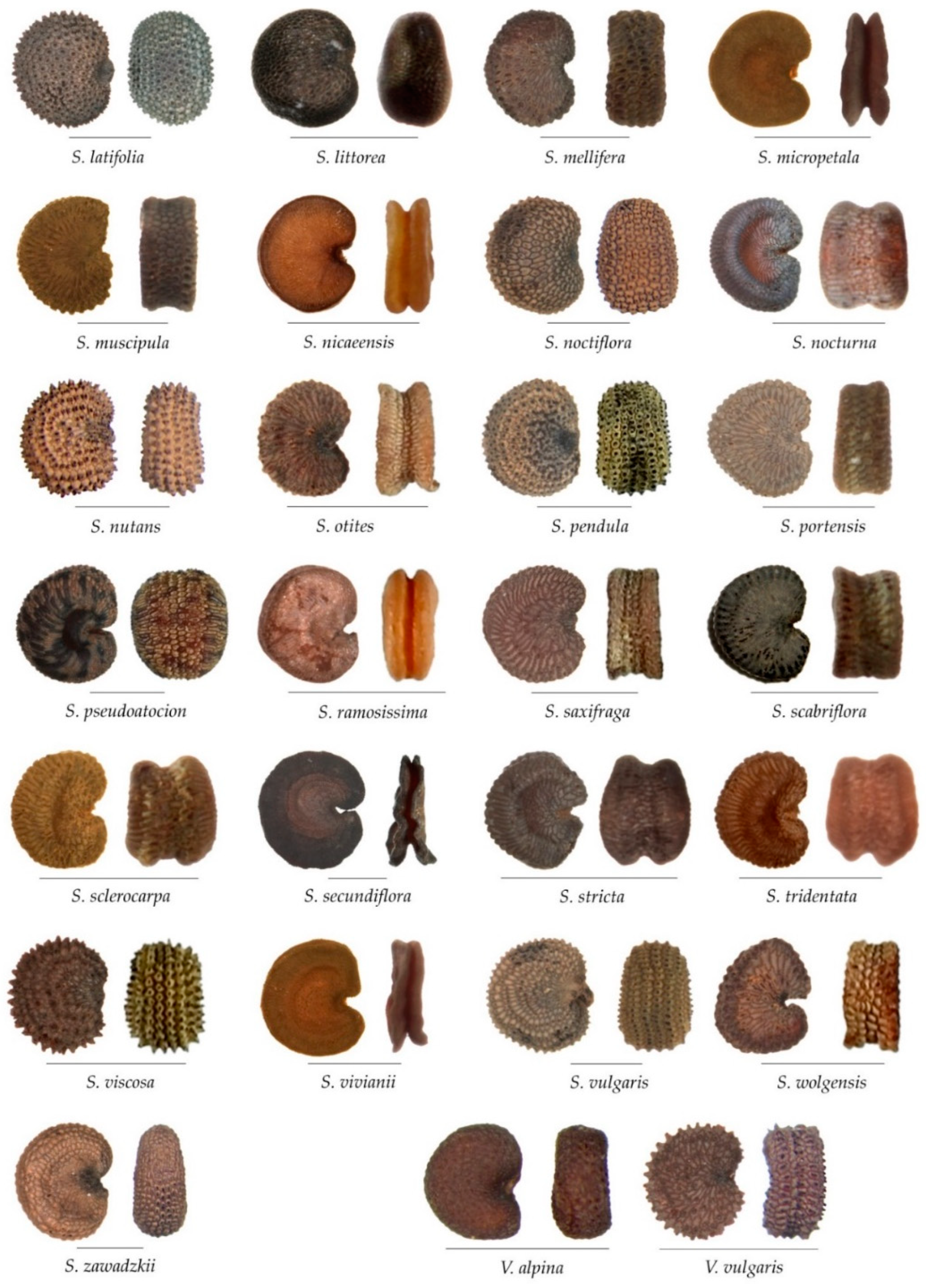 Taxonomy 02 00024 g0a2b