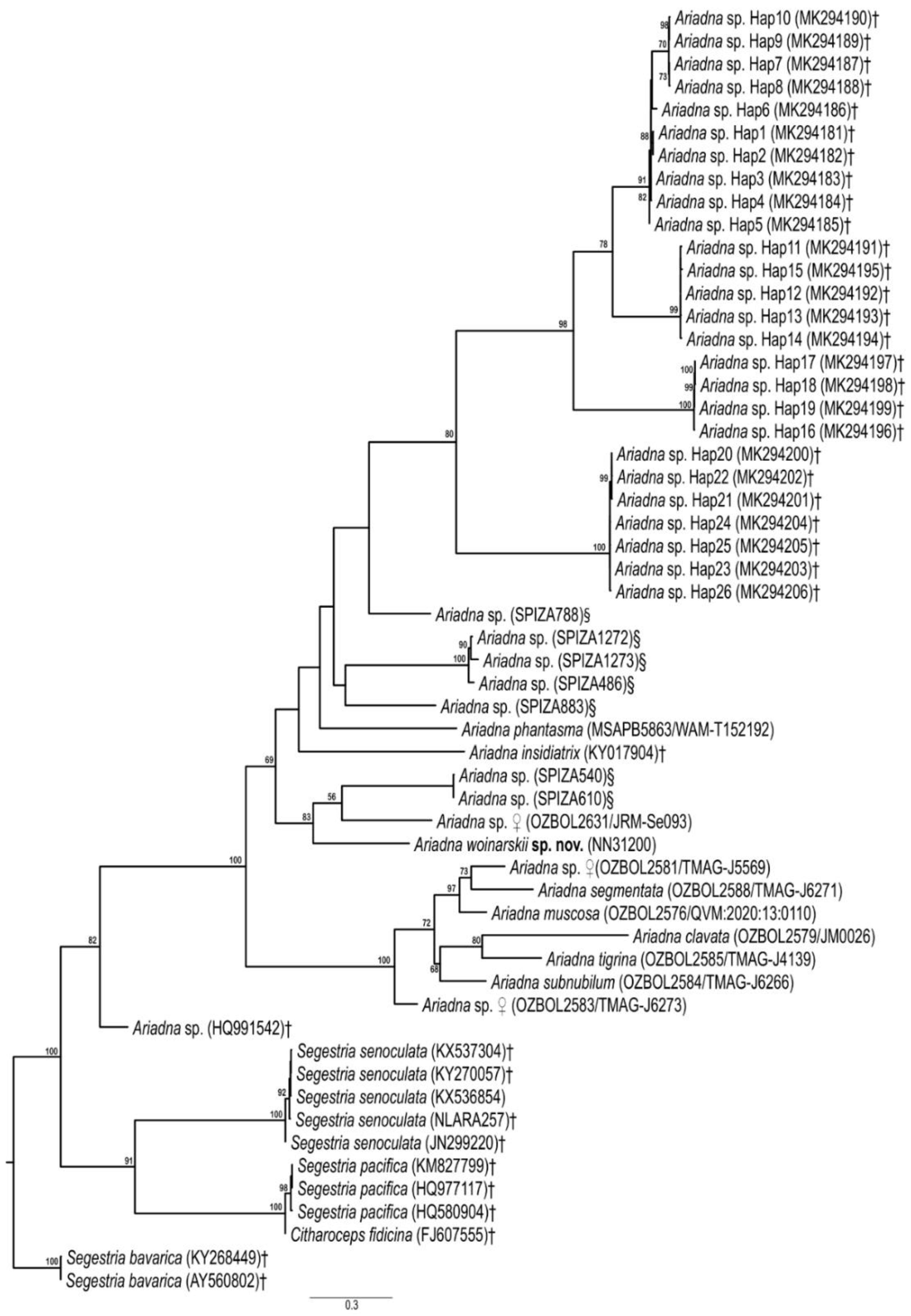 Taxonomy 02 00028 g001