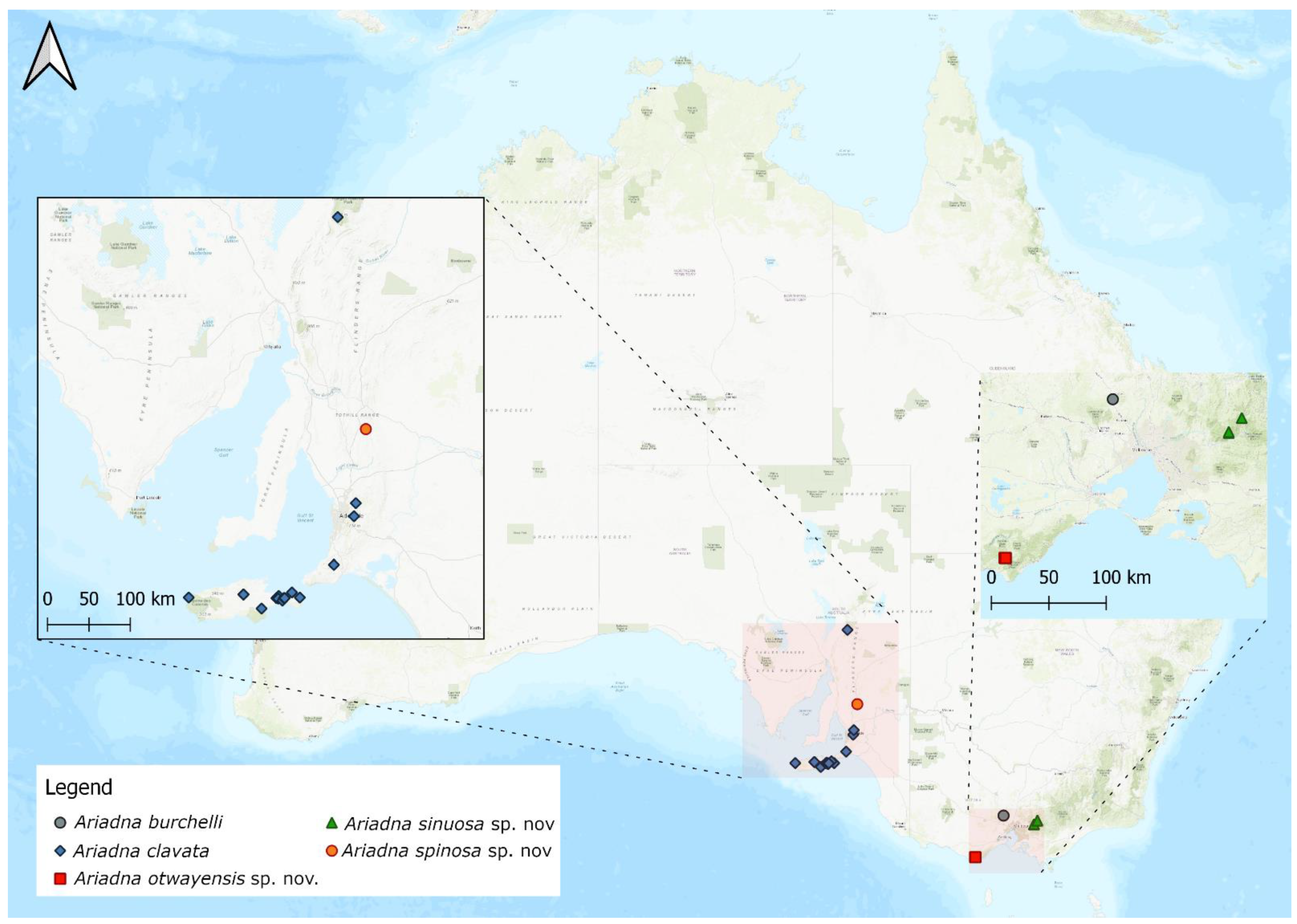Taxonomy 02 00028 g008