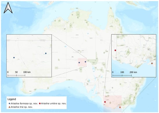 Taxonomy 02 00028 g019