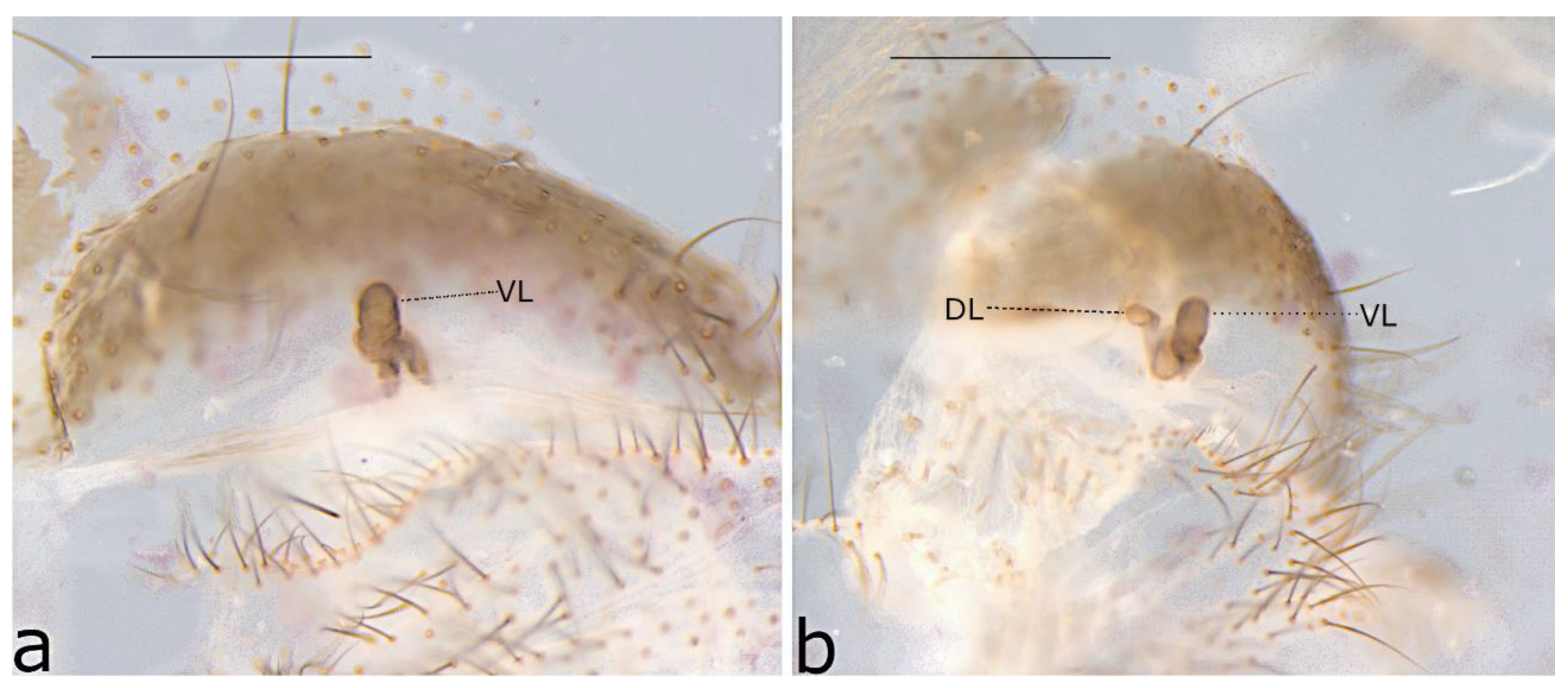 Taxonomy 02 00028 g025