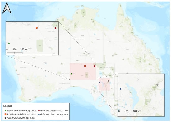 Taxonomy 02 00028 g028