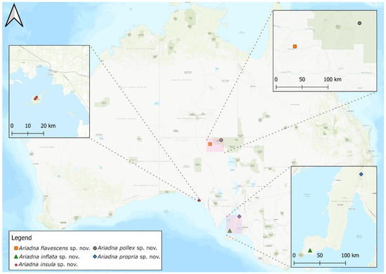 Taxonomy 02 00028 g039