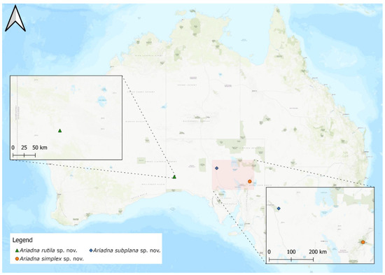 Taxonomy 02 00028 g052