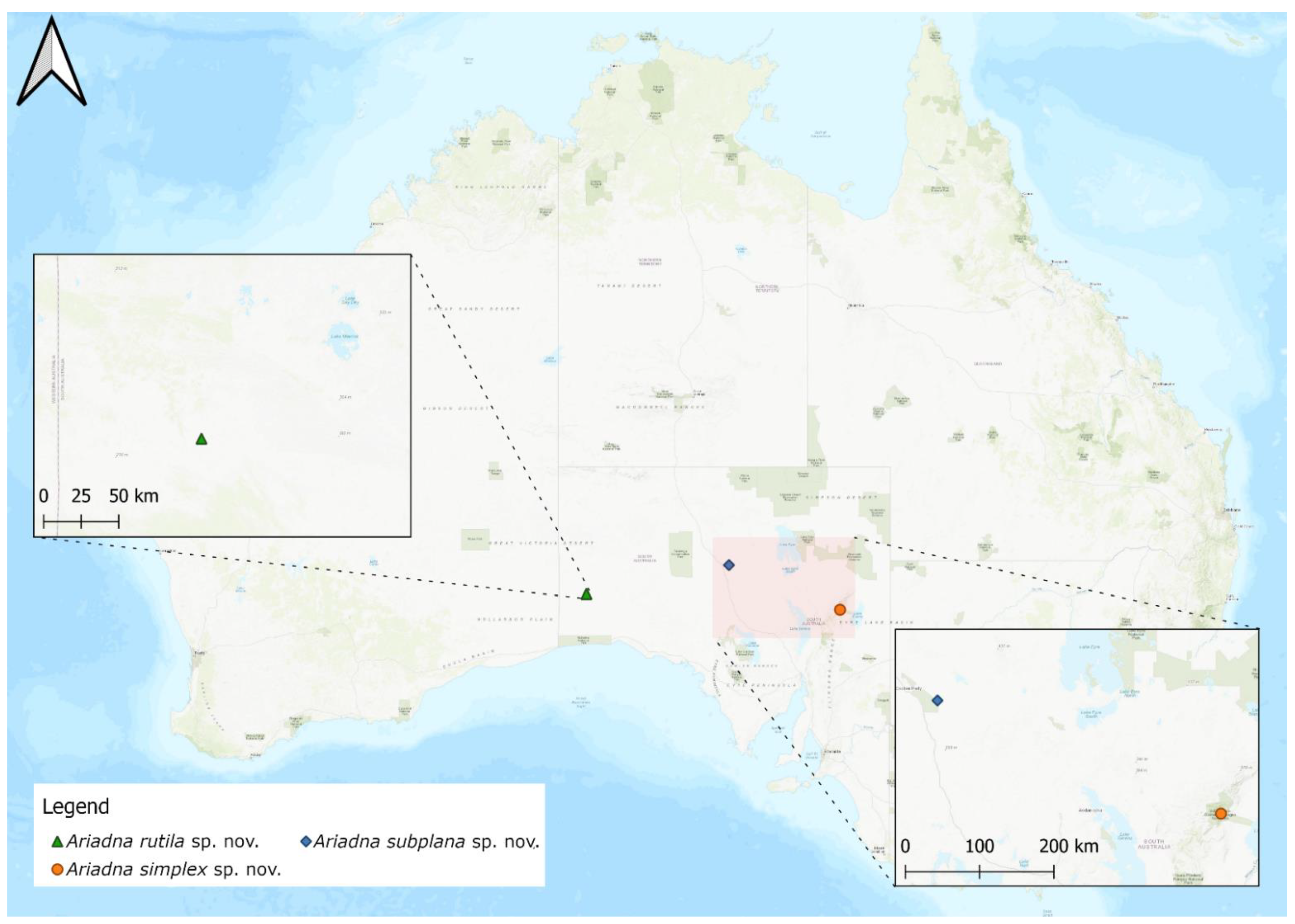 Taxonomy 02 00028 g052