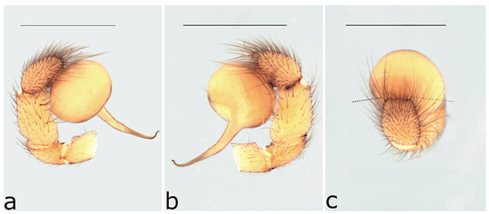 Taxonomy 02 00028 g054
