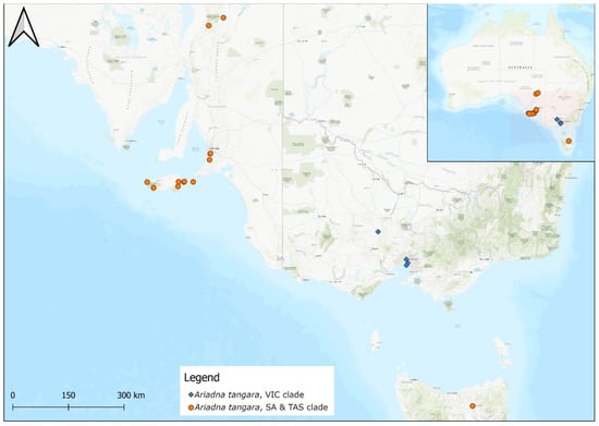 Taxonomy 02 00028 g061