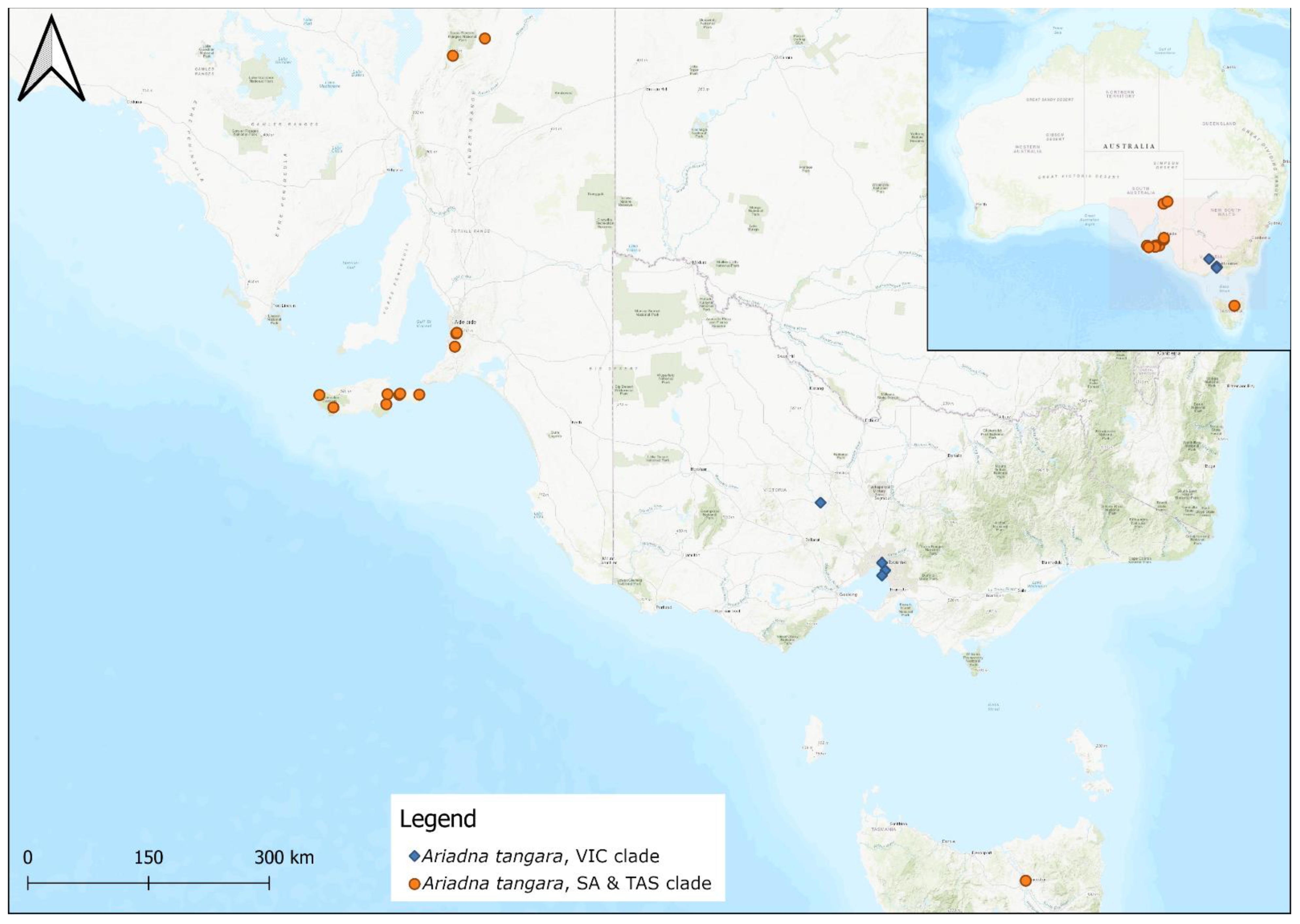 Taxonomy 02 00028 g061