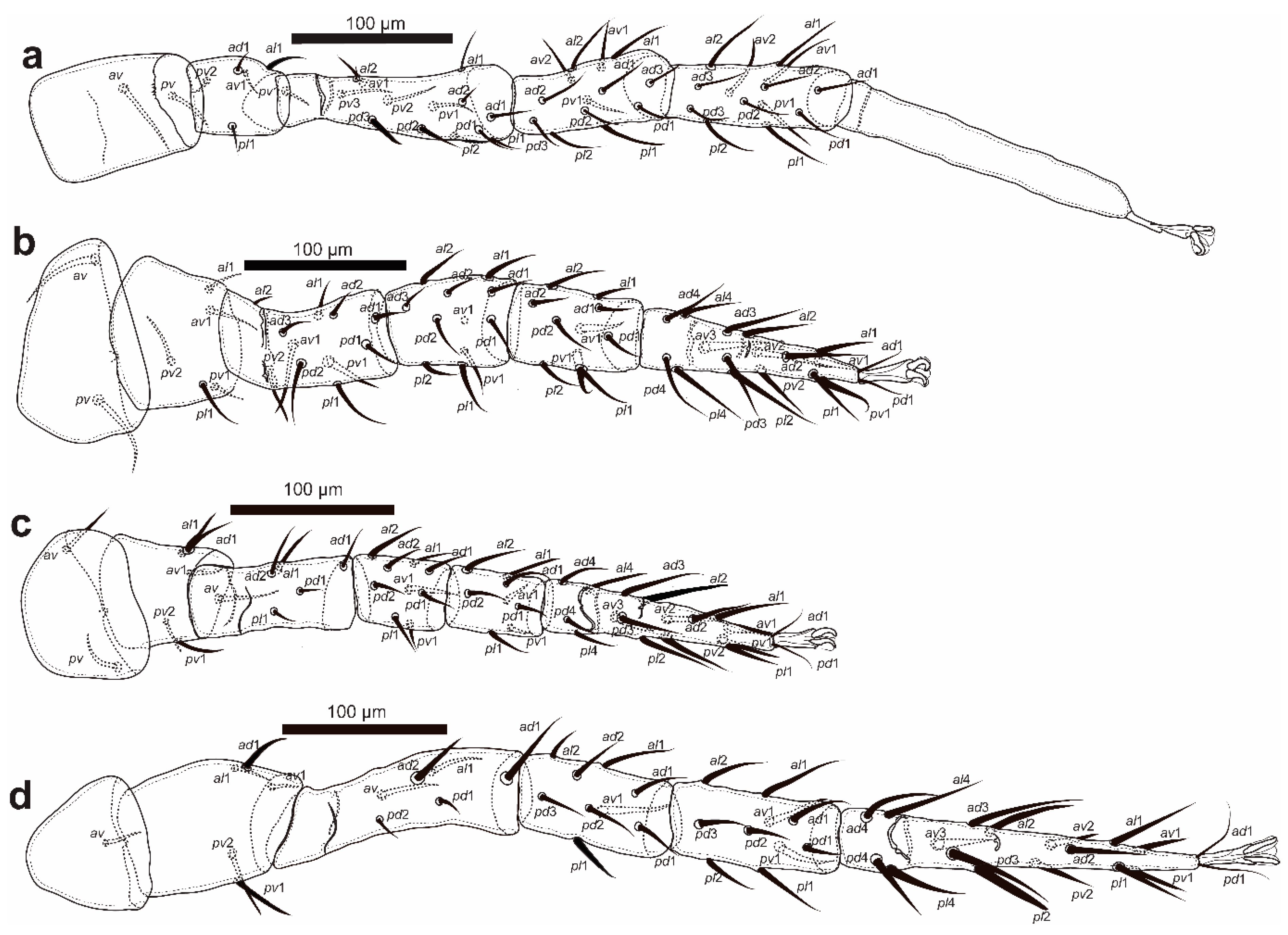 Taxonomy 02 00030 g005
