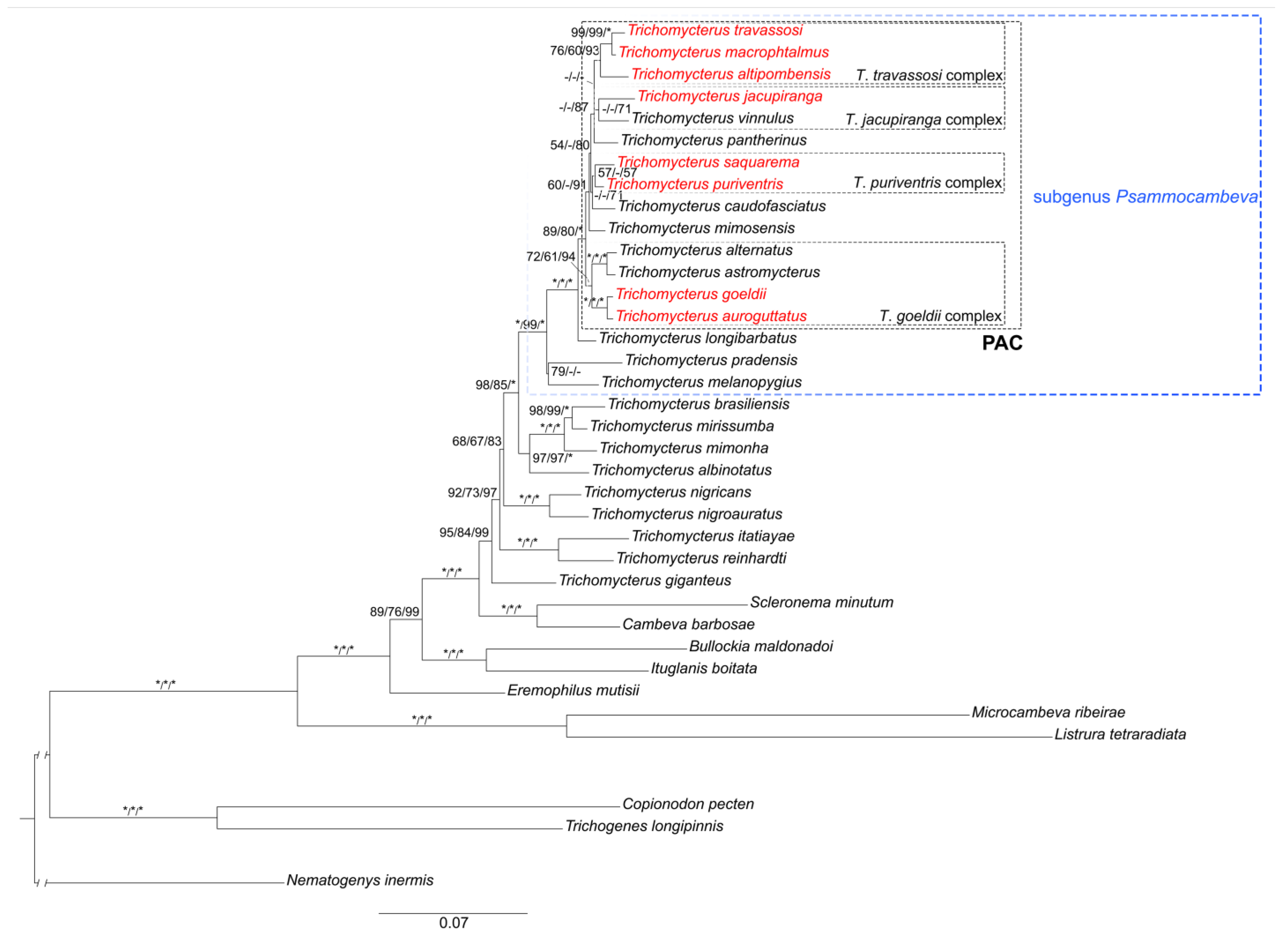 Taxonomy 02 00032 g001