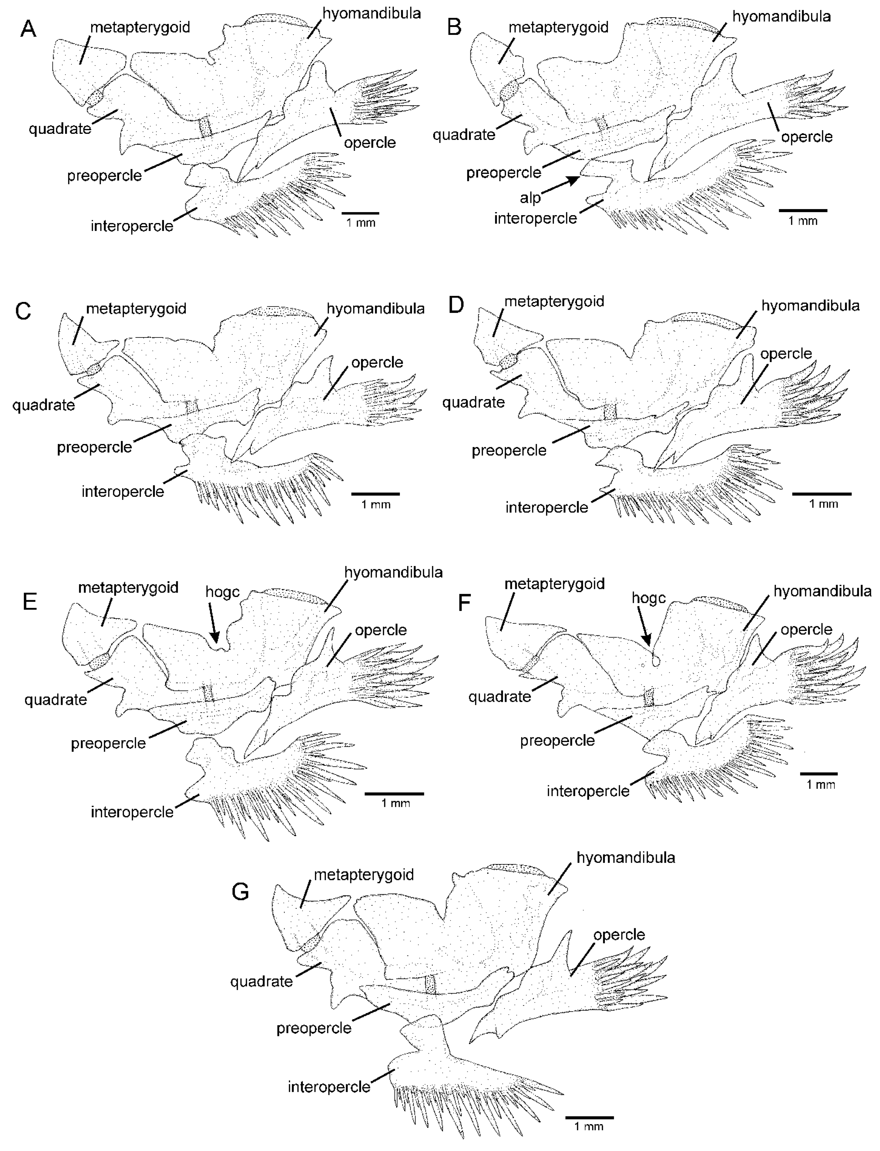 Taxonomy 02 00032 g004
