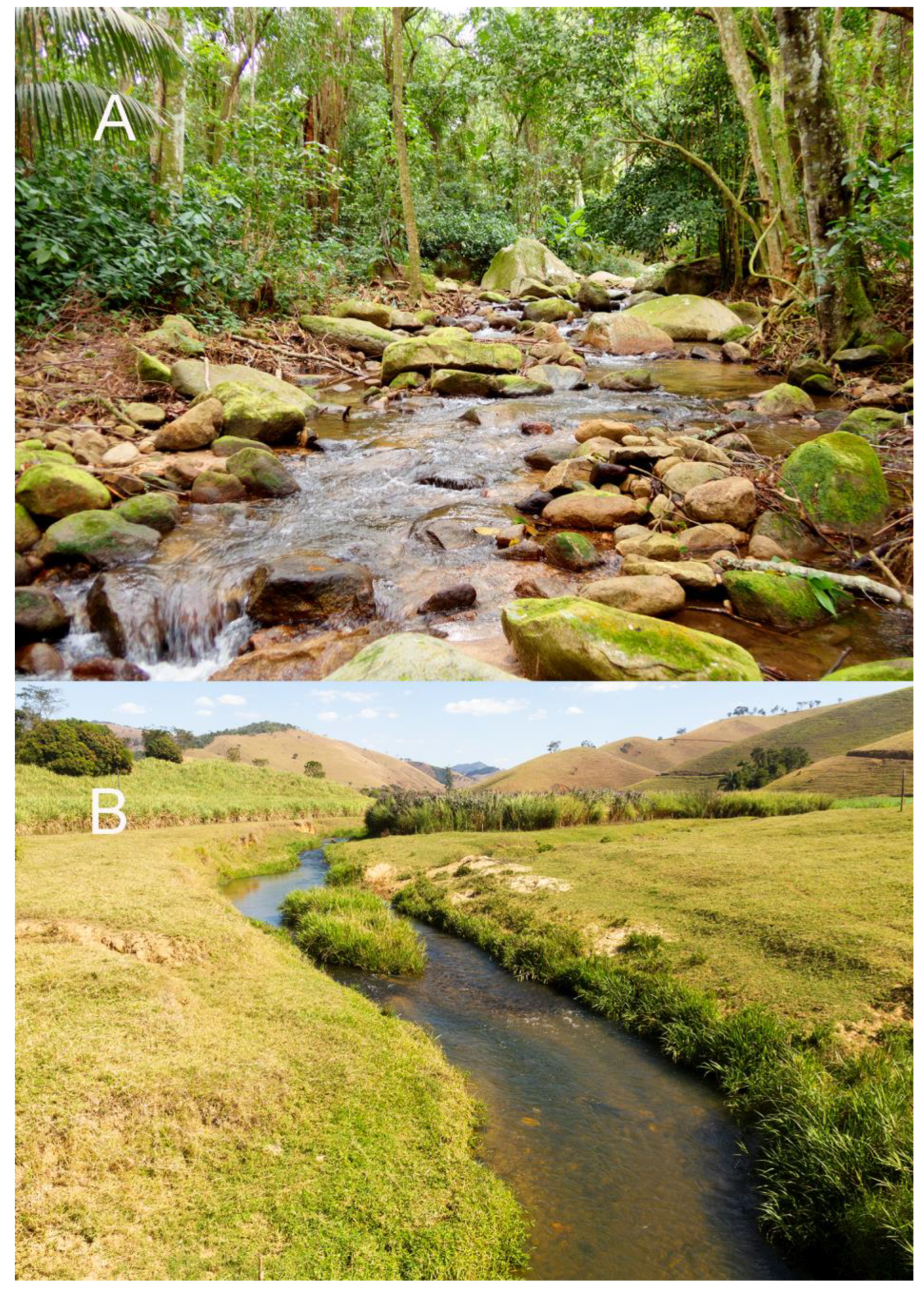 Taxonomy 02 00032 g015