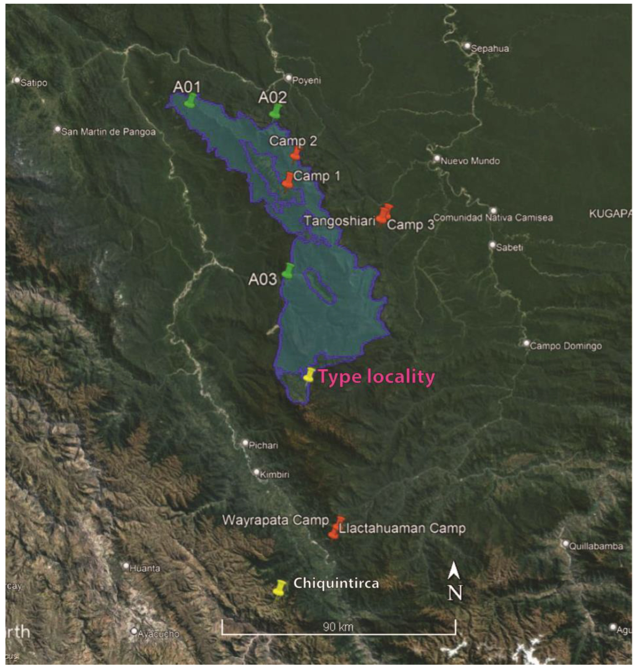 Taxonomy 03 00002 g002