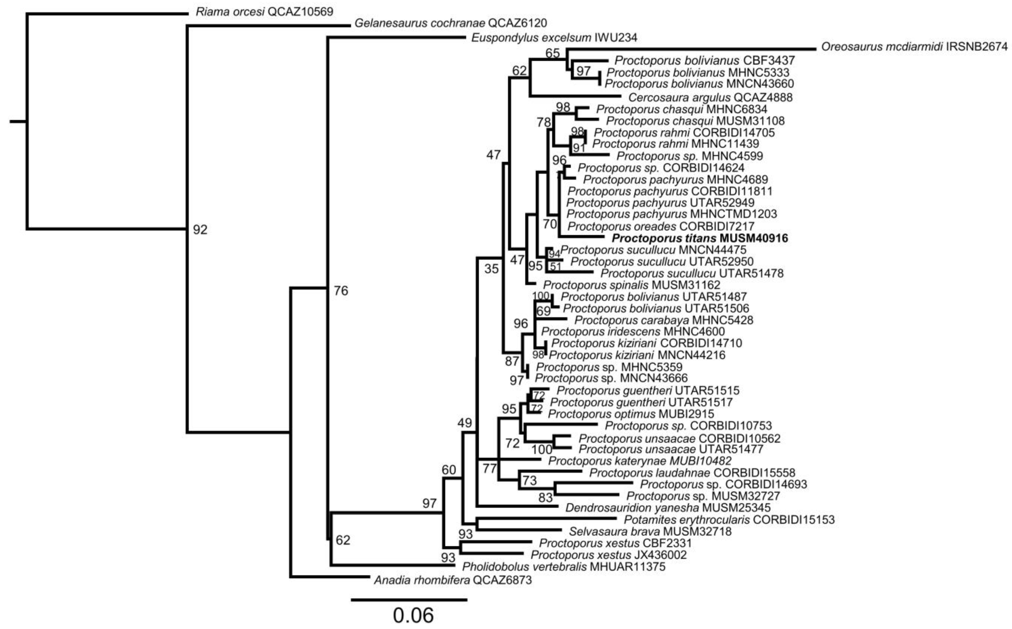 Taxonomy 03 00002 g003