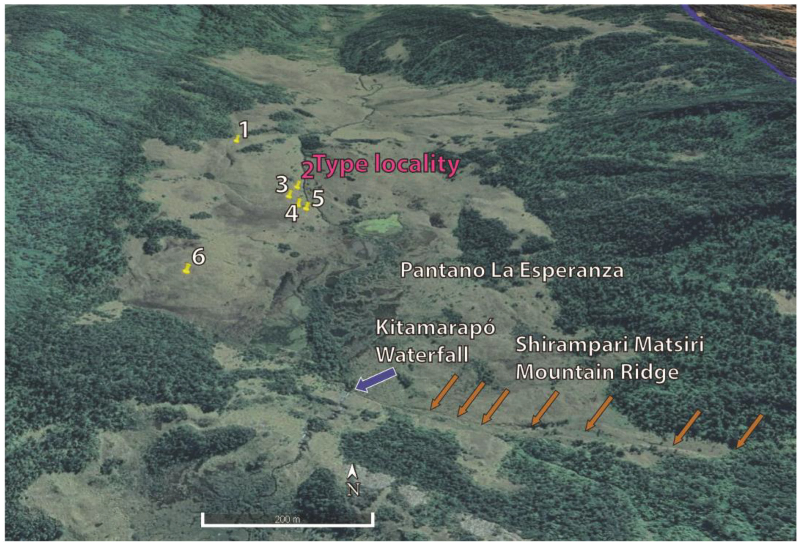 Taxonomy 03 00002 g009