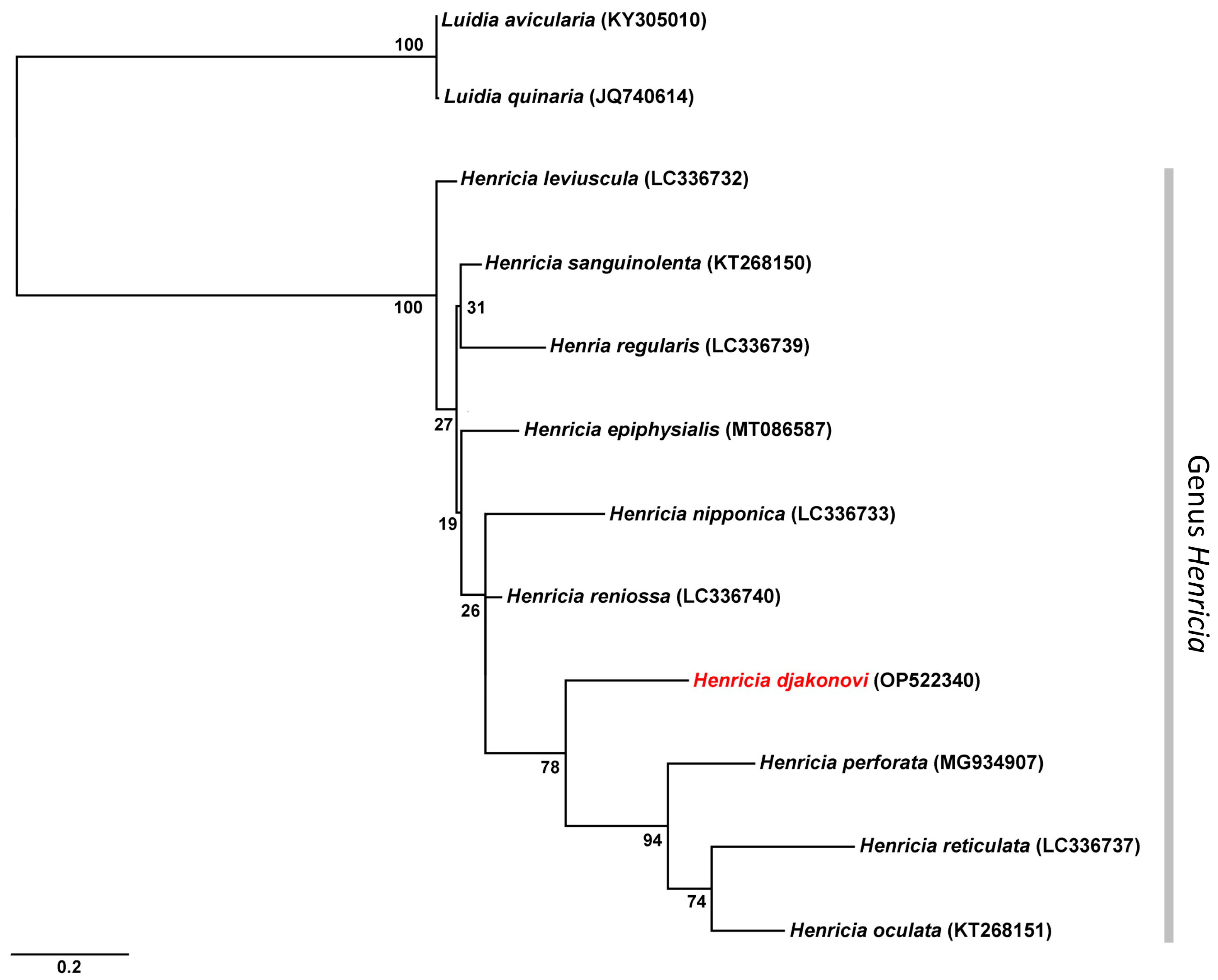 Taxonomy 03 00004 g003