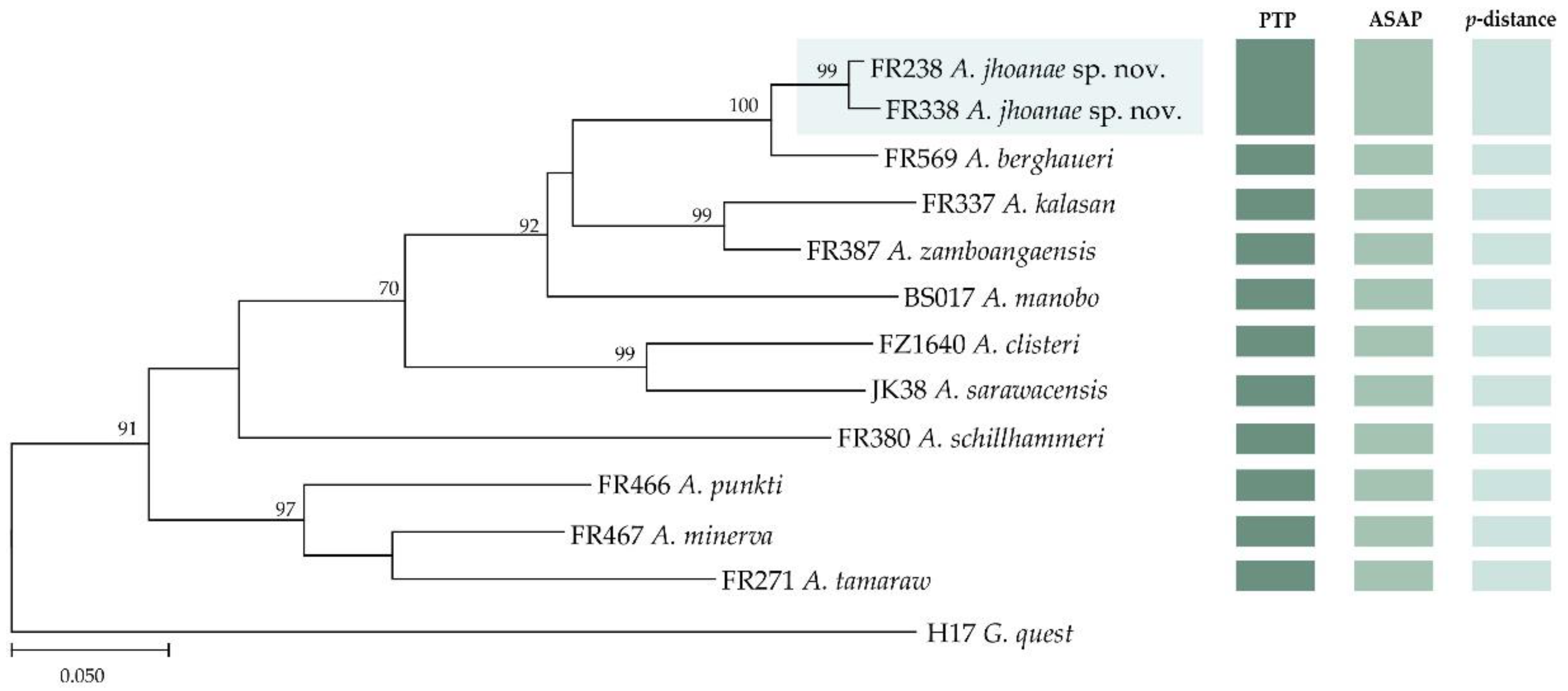 Taxonomy 03 00008 g001