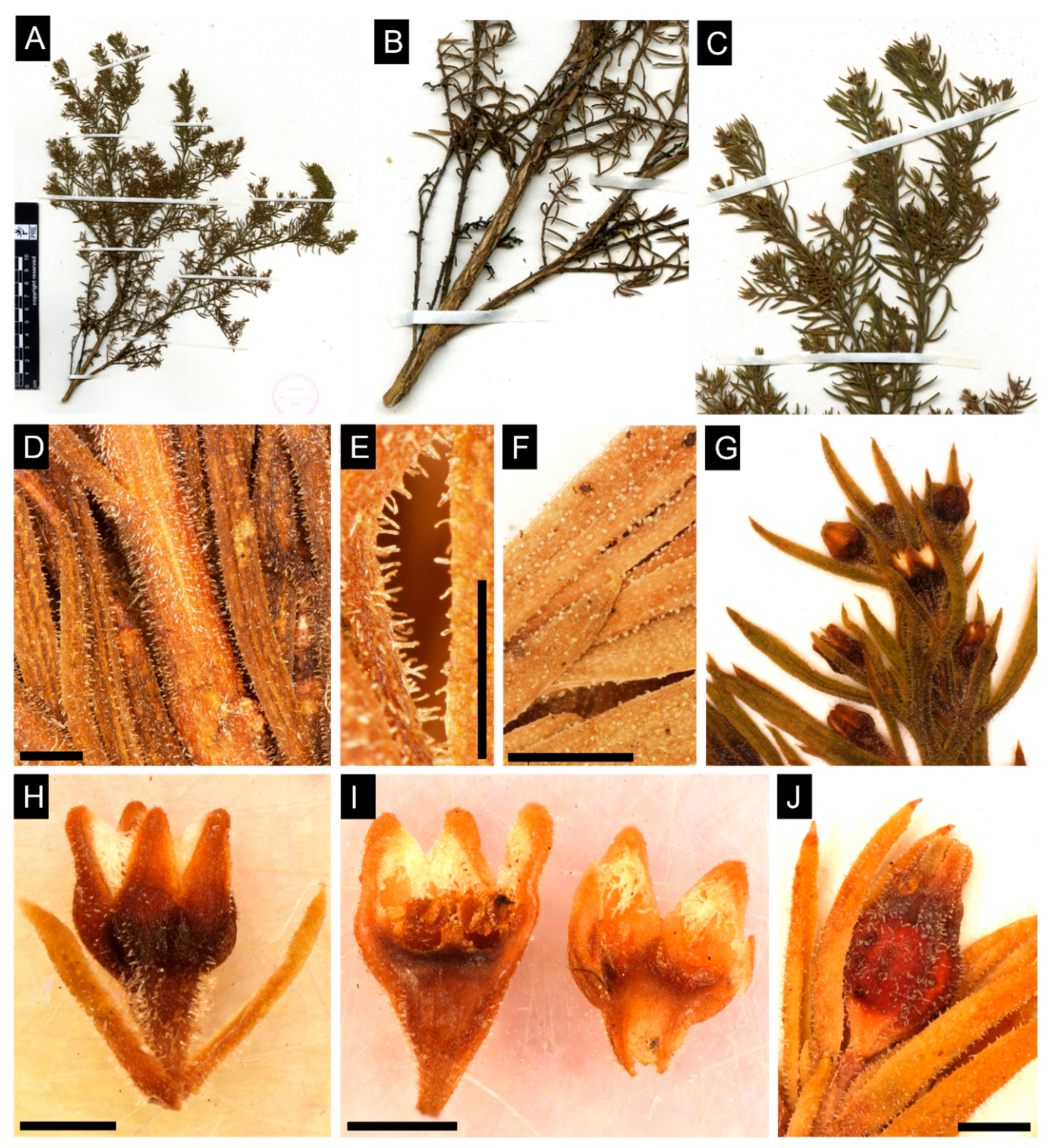 Taxonomy 03 00009 g005
