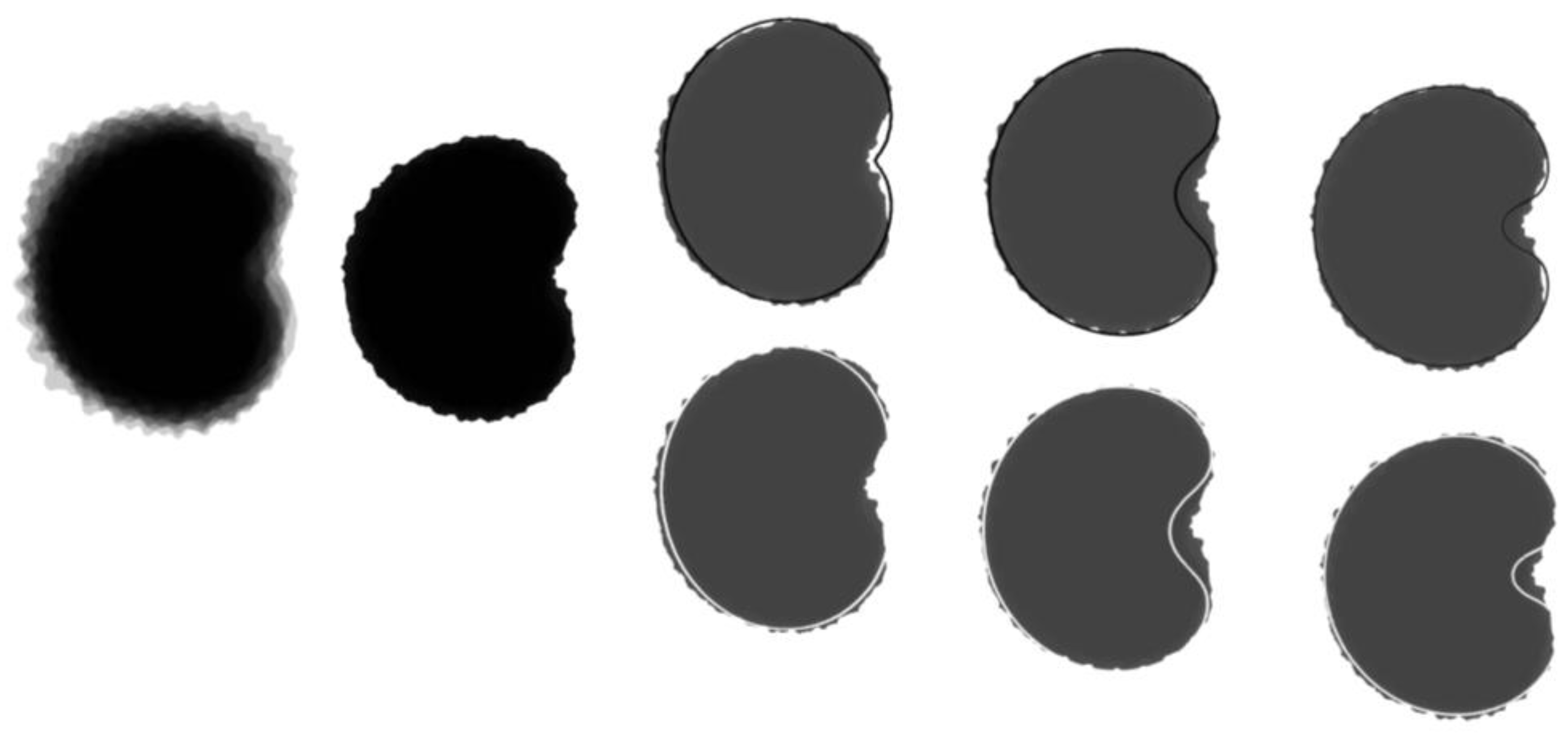 Taxonomy 03 00010 g003