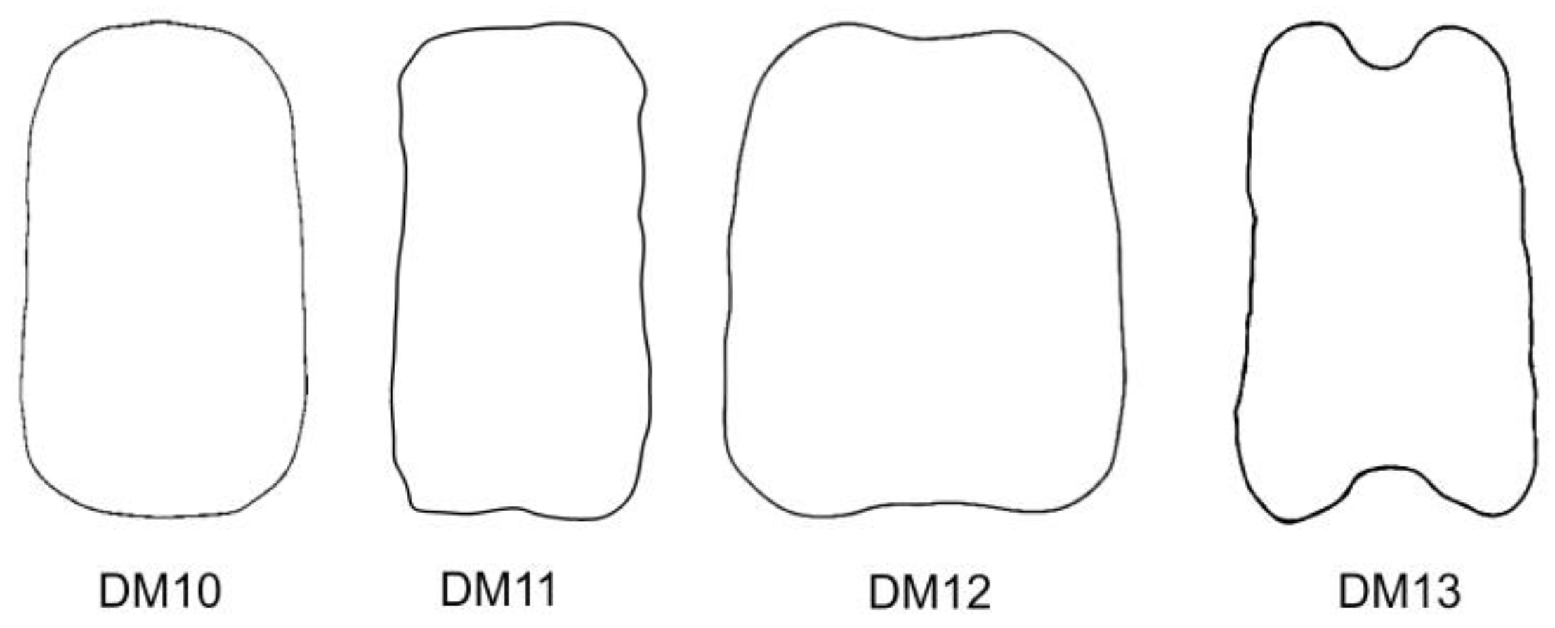 Taxonomy 03 00010 g004