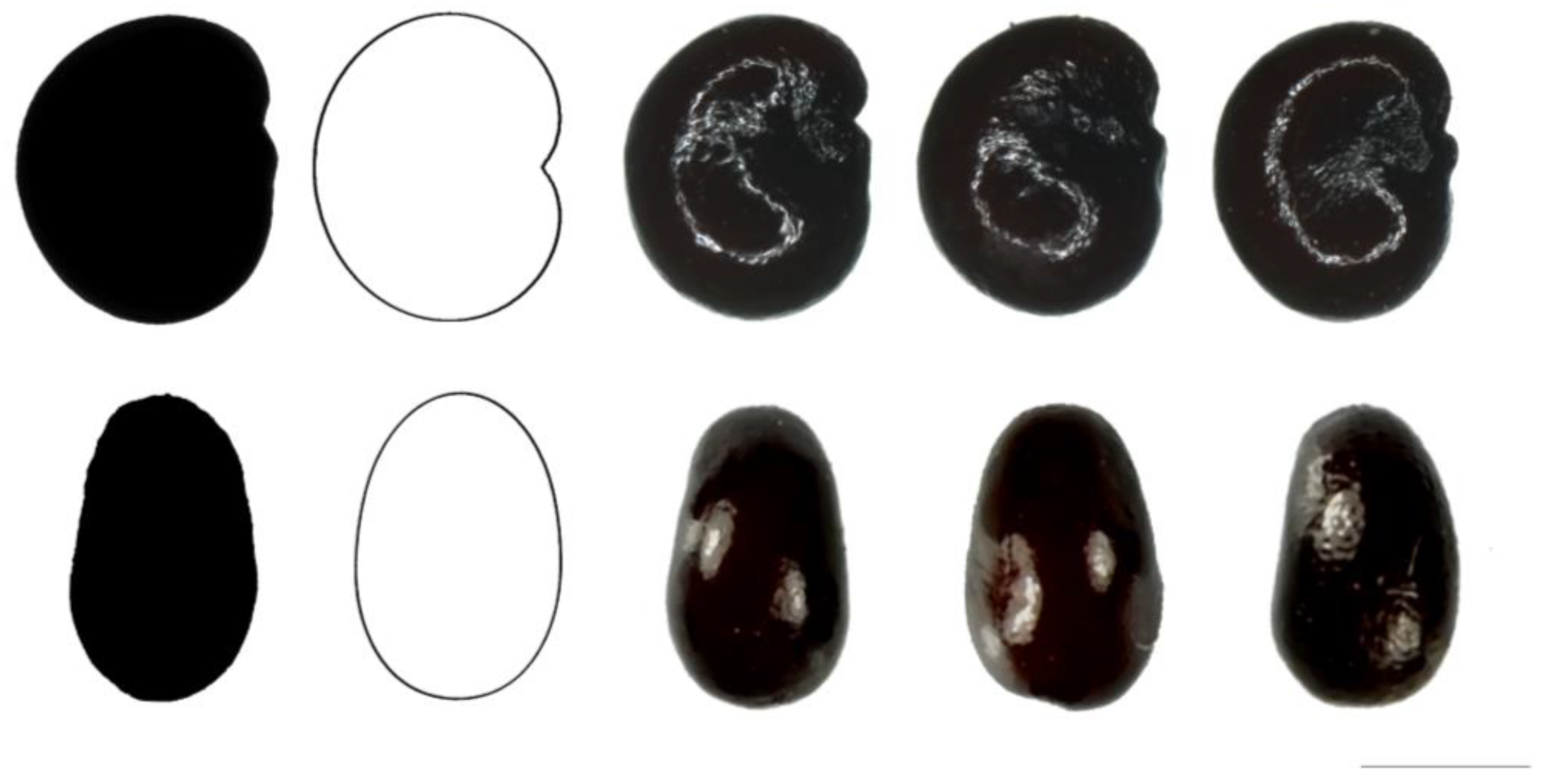 Taxonomy 03 00010 g010