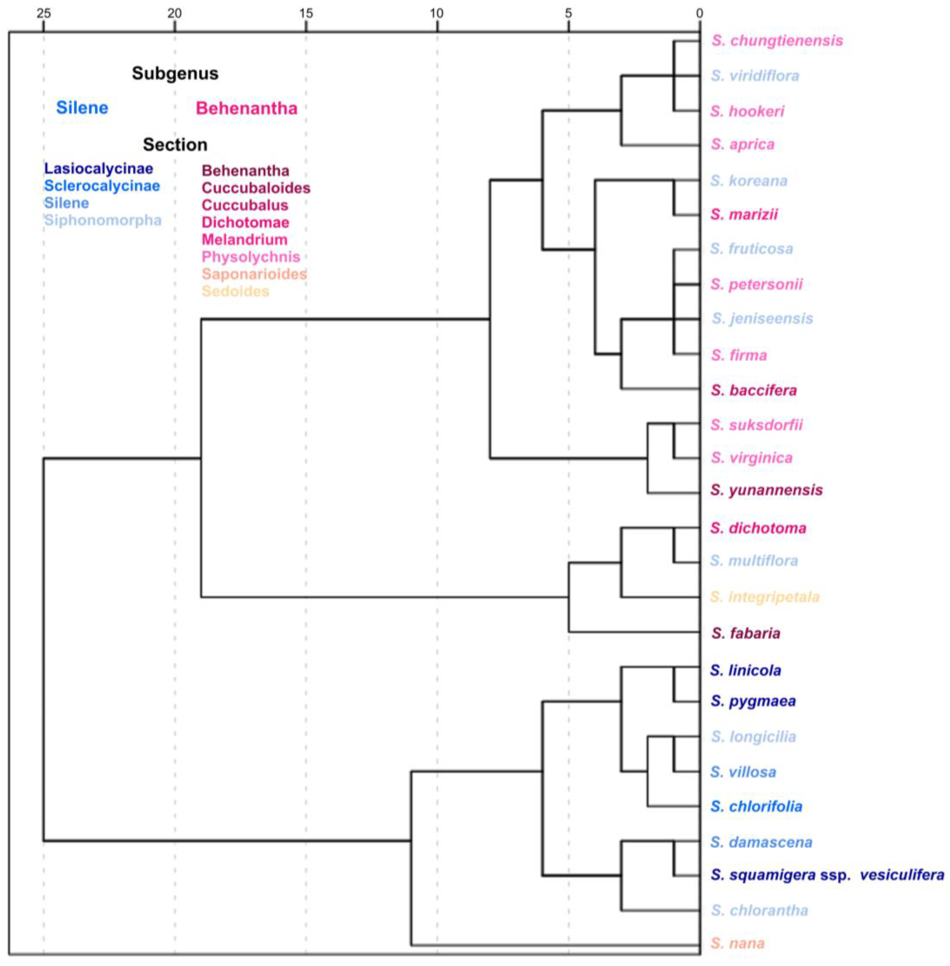 Taxonomy 03 00010 g021