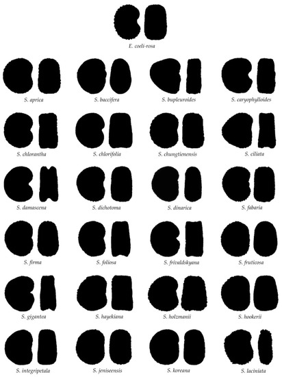 Taxonomy 03 00010 g0a1a 550