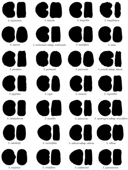Taxonomy 03 00010 g0a1b 550