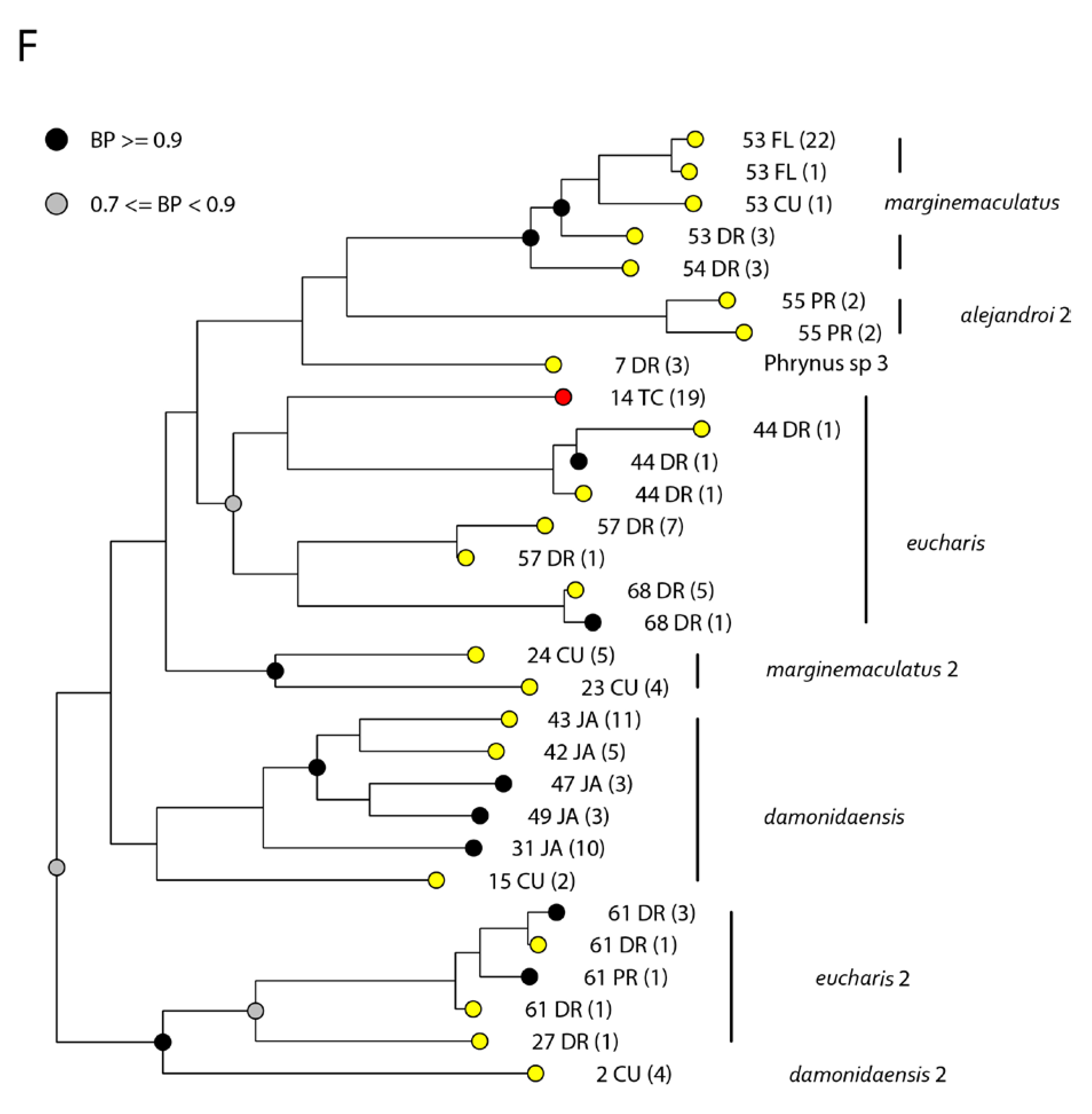 Taxonomy 03 00011 g005