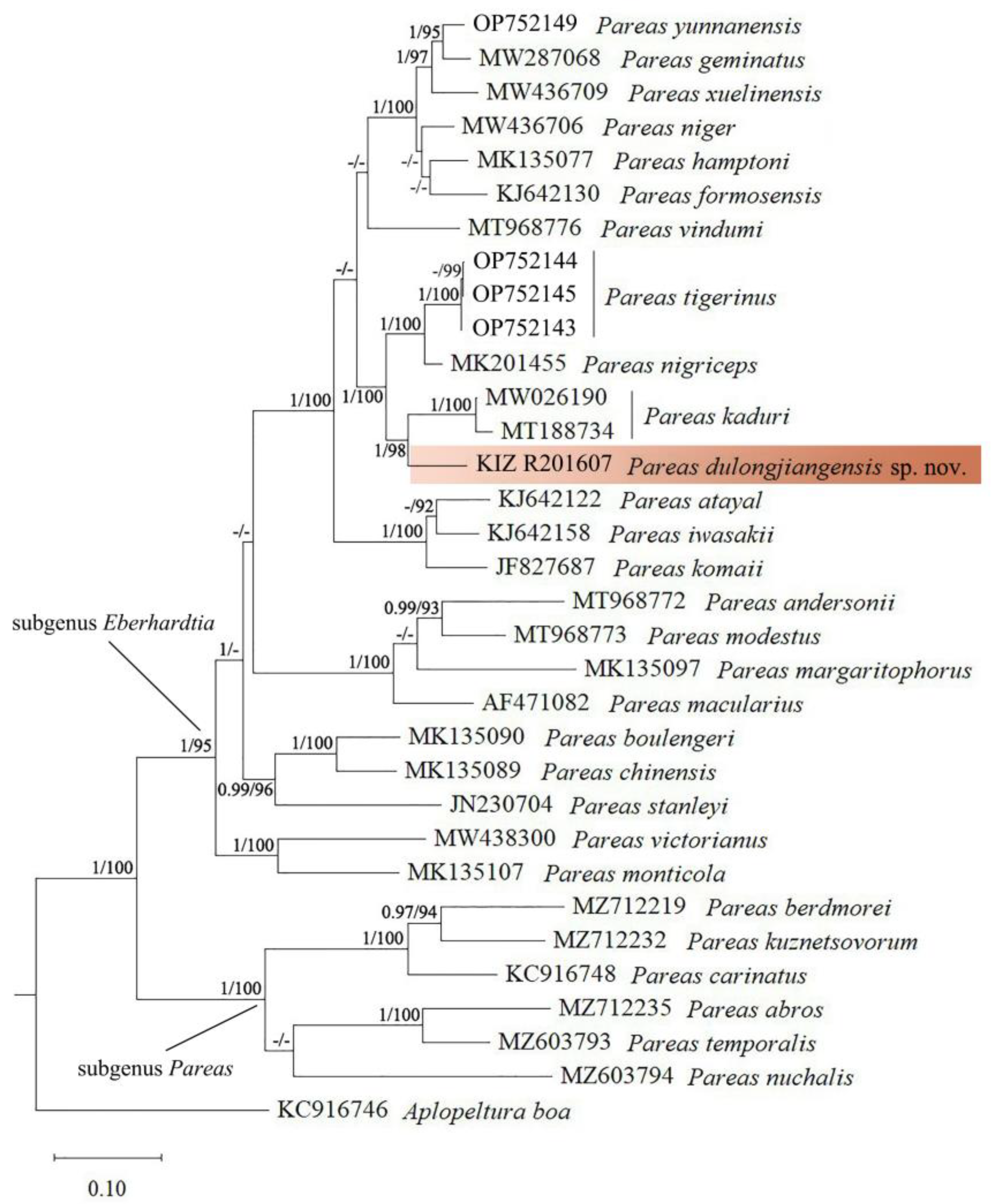 Taxonomy 03 00013 g001