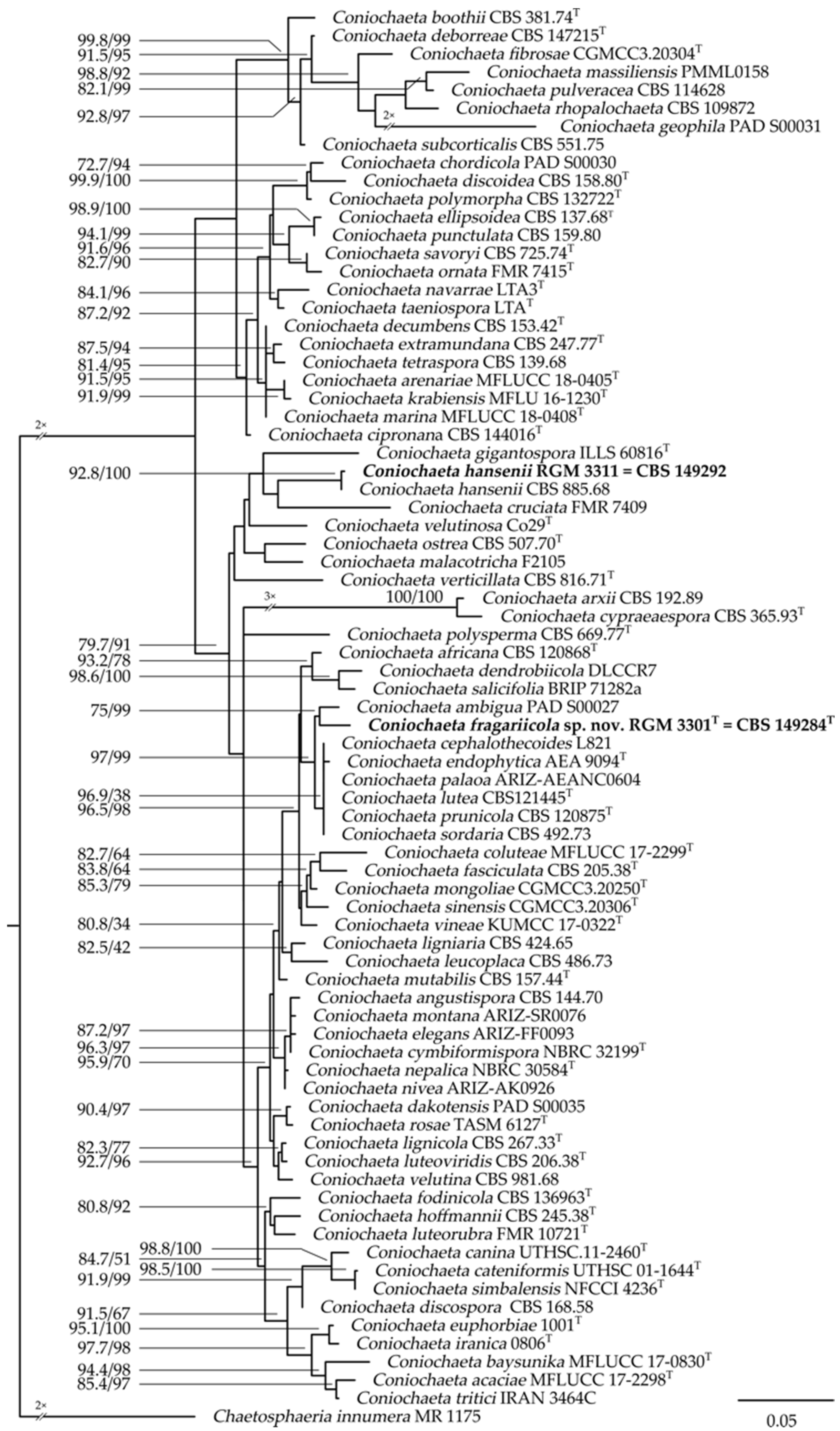 Taxonomy 03 00014 g001