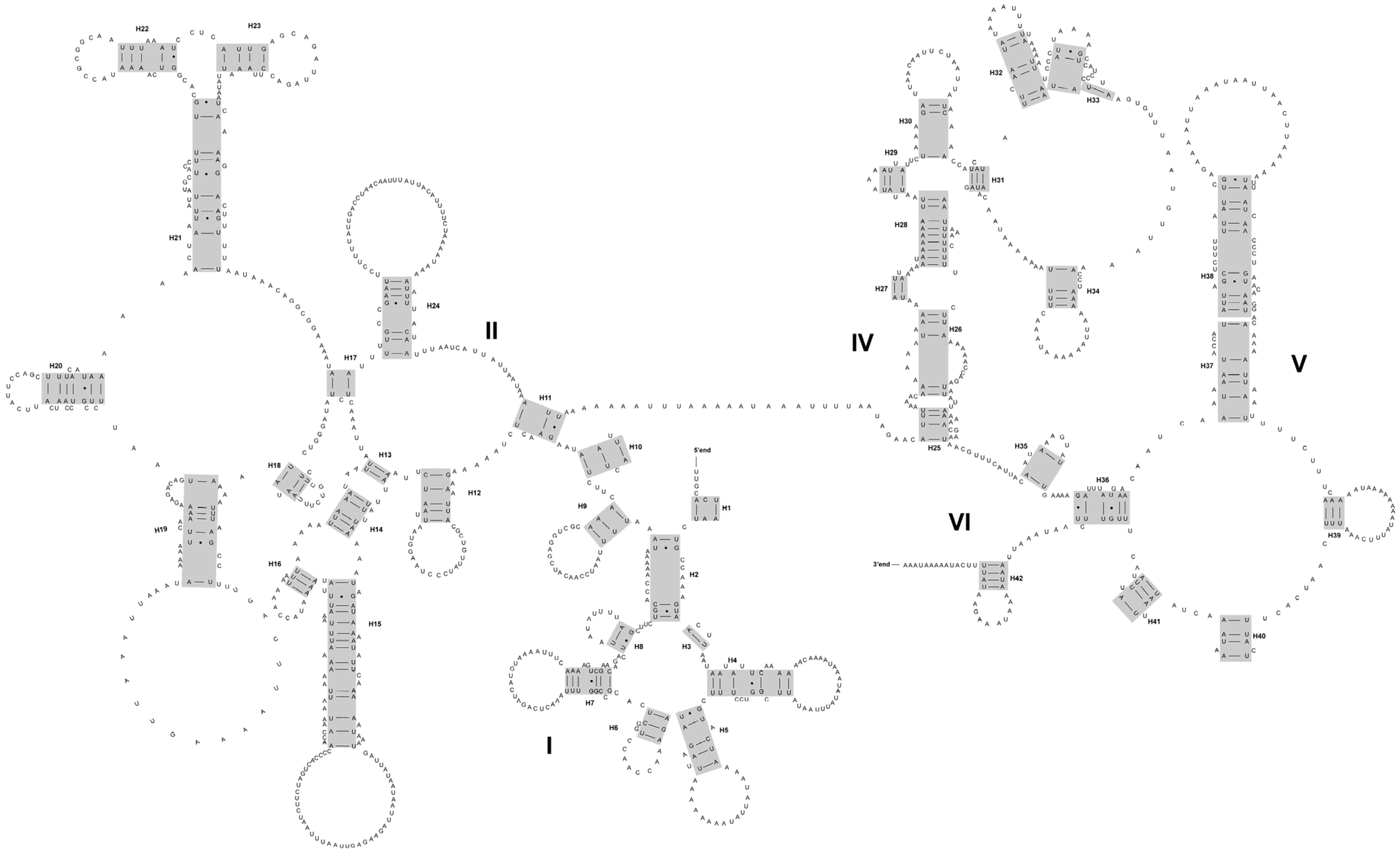 Taxonomy 03 00015 g004