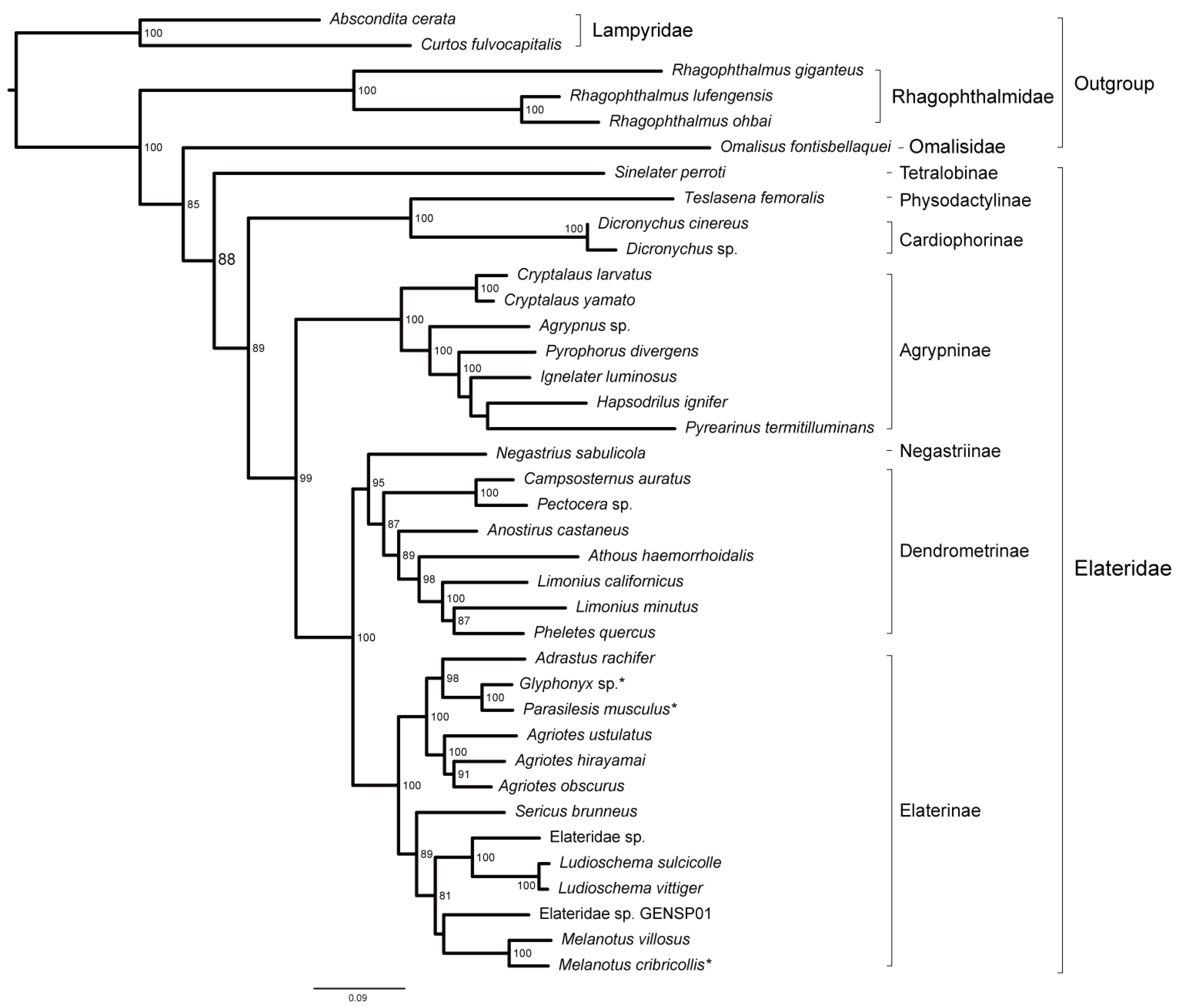 Taxonomy 03 00015 g006