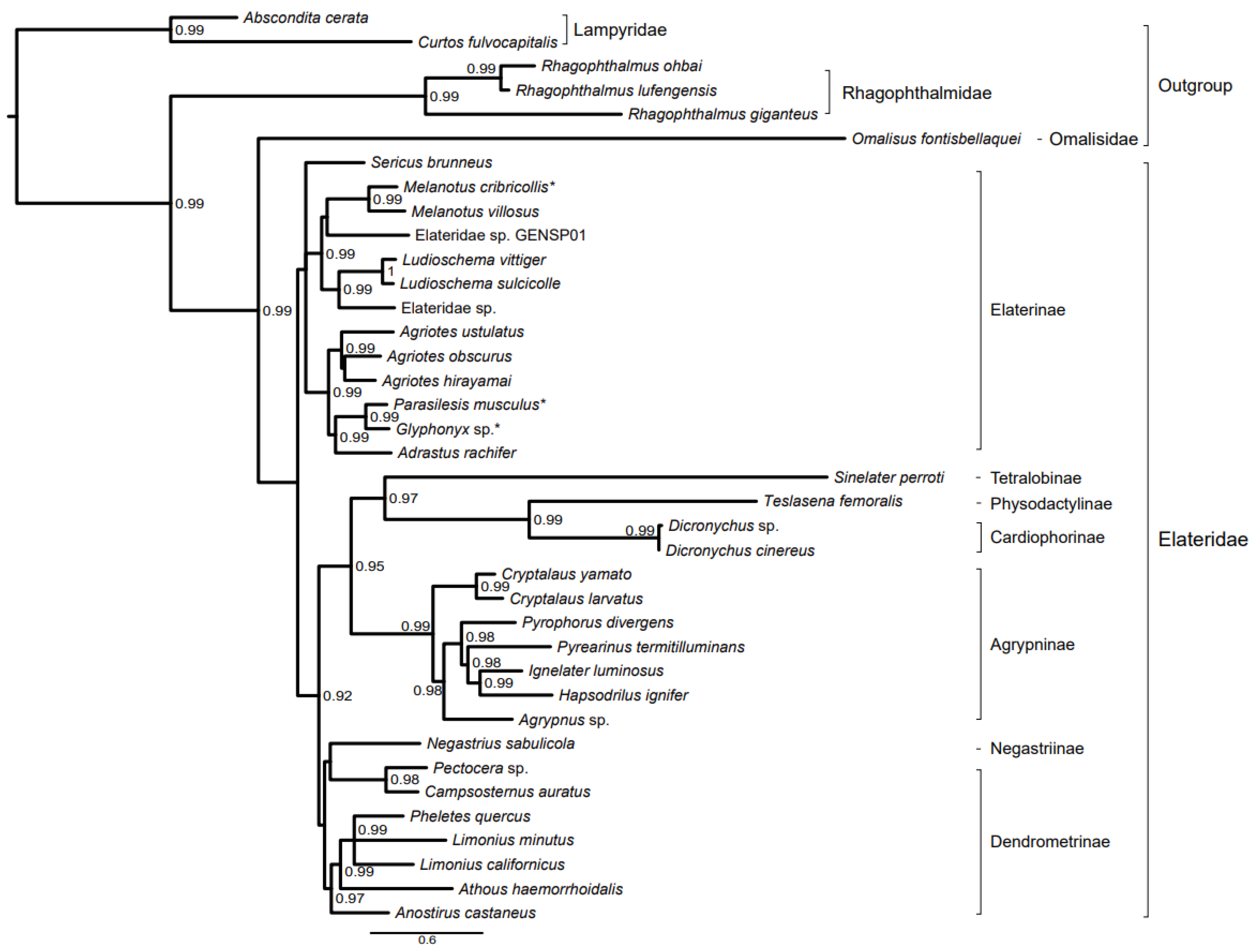 Taxonomy 03 00015 g008