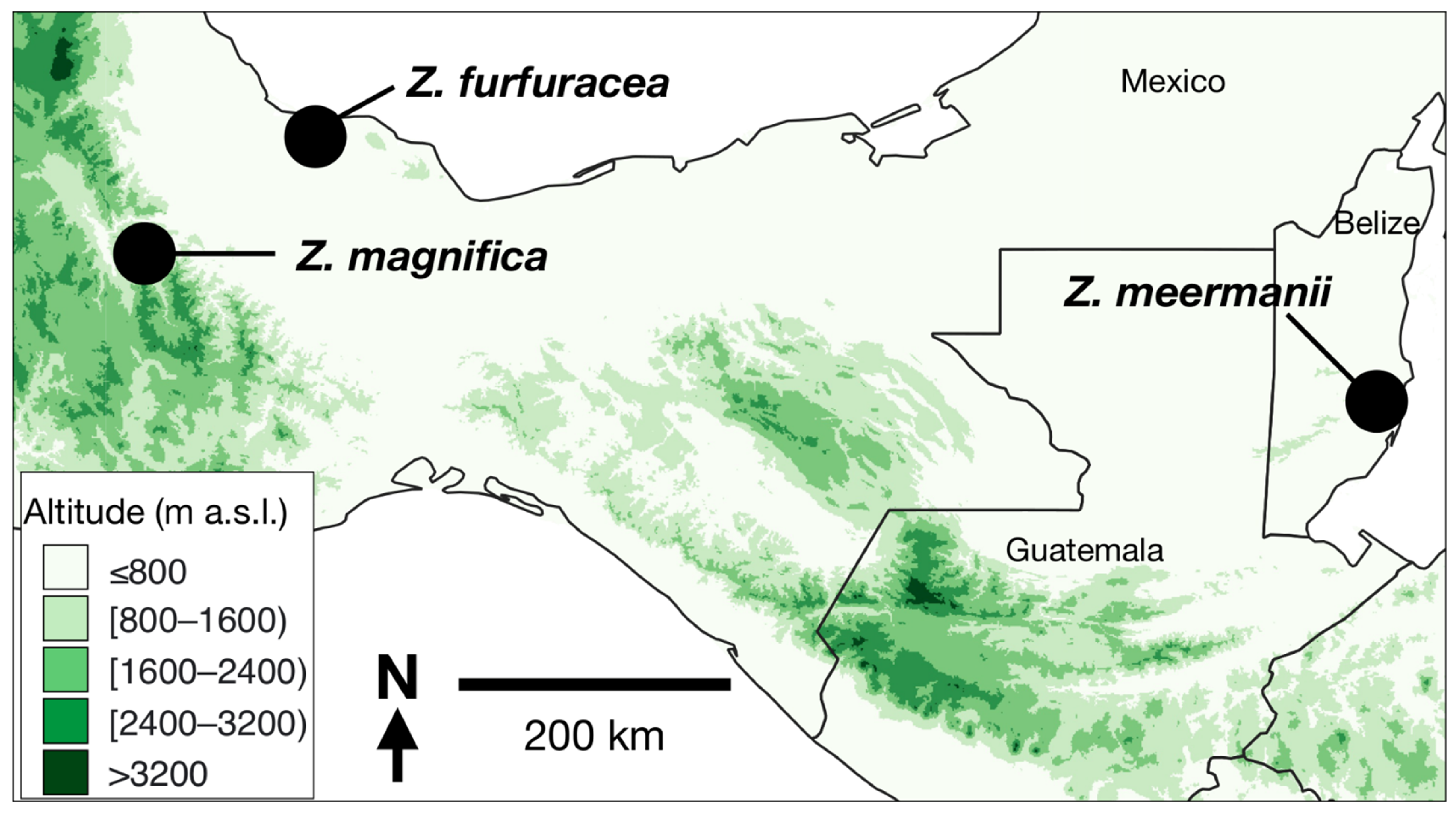 Taxonomy 03 00017 g001