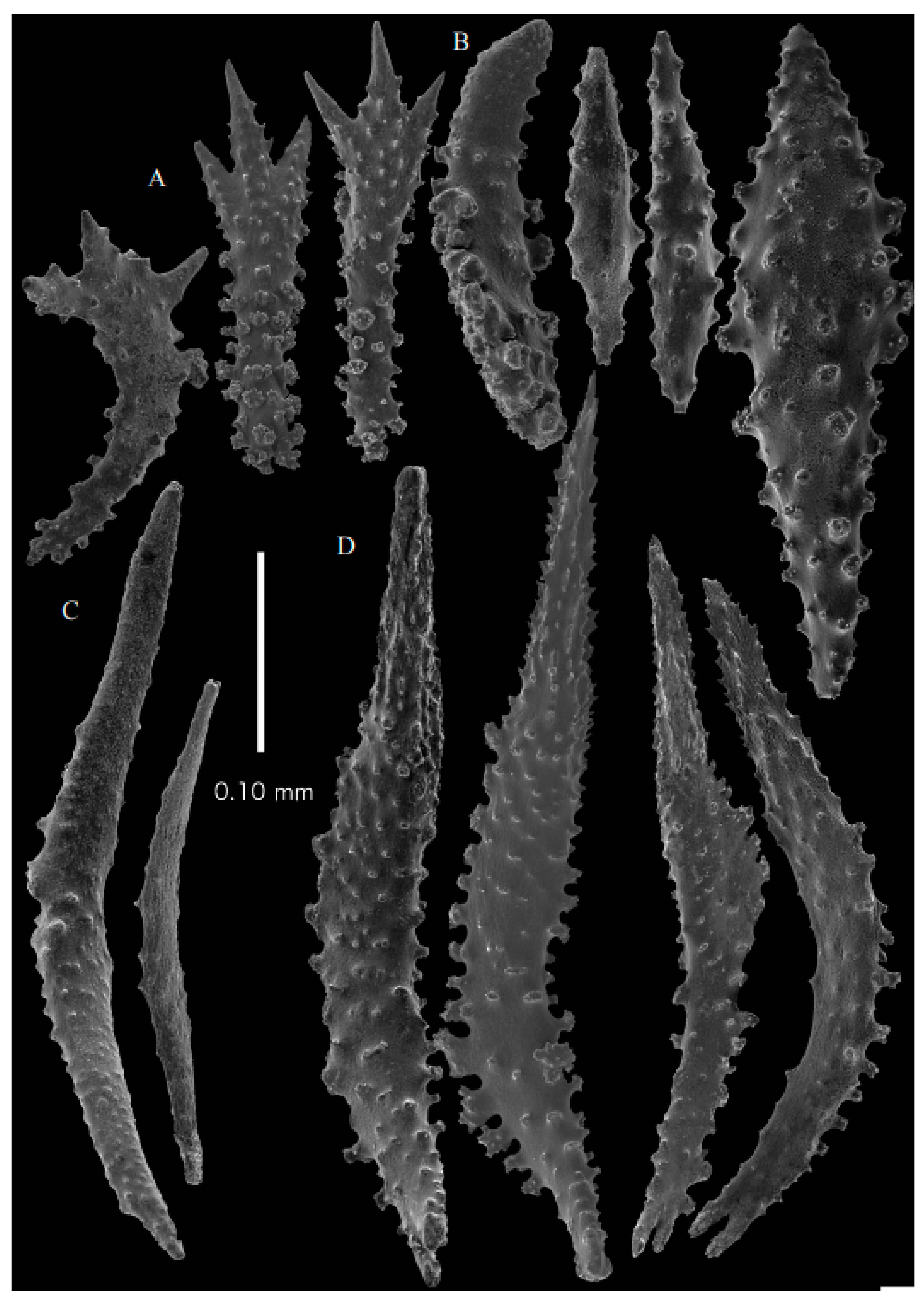 Taxonomy 03 00018 g003