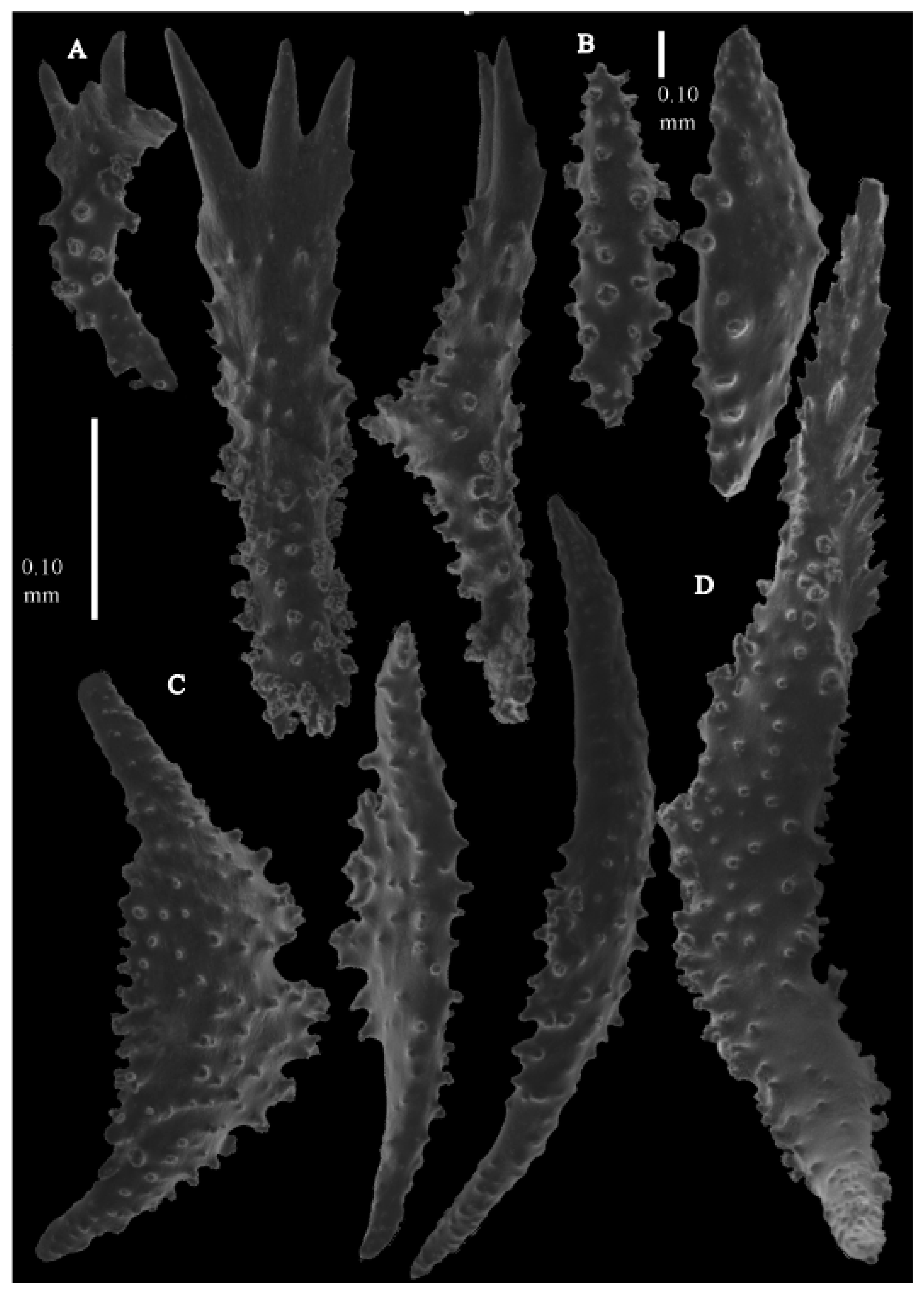 Taxonomy 03 00018 g005