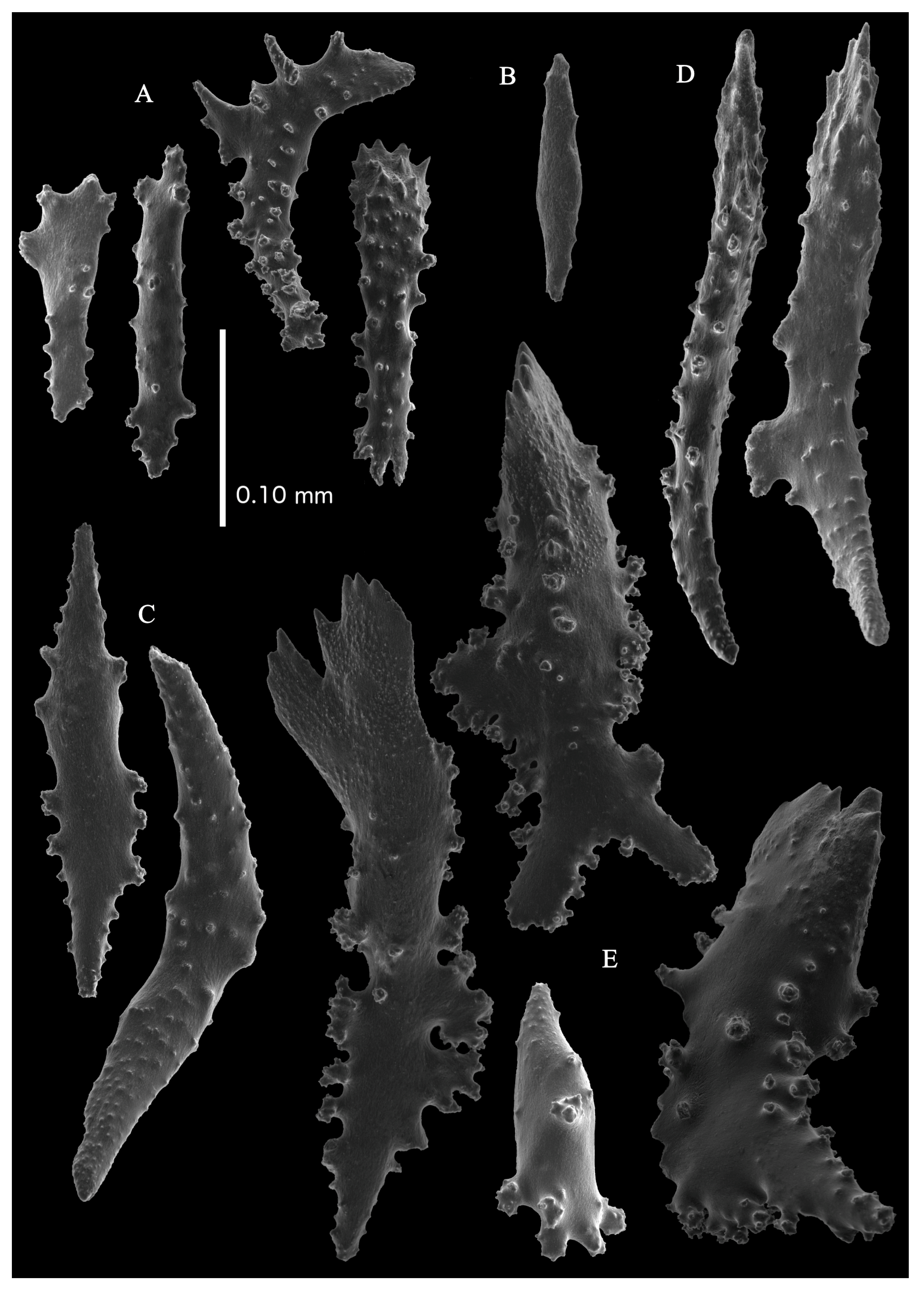 Taxonomy 03 00018 g008