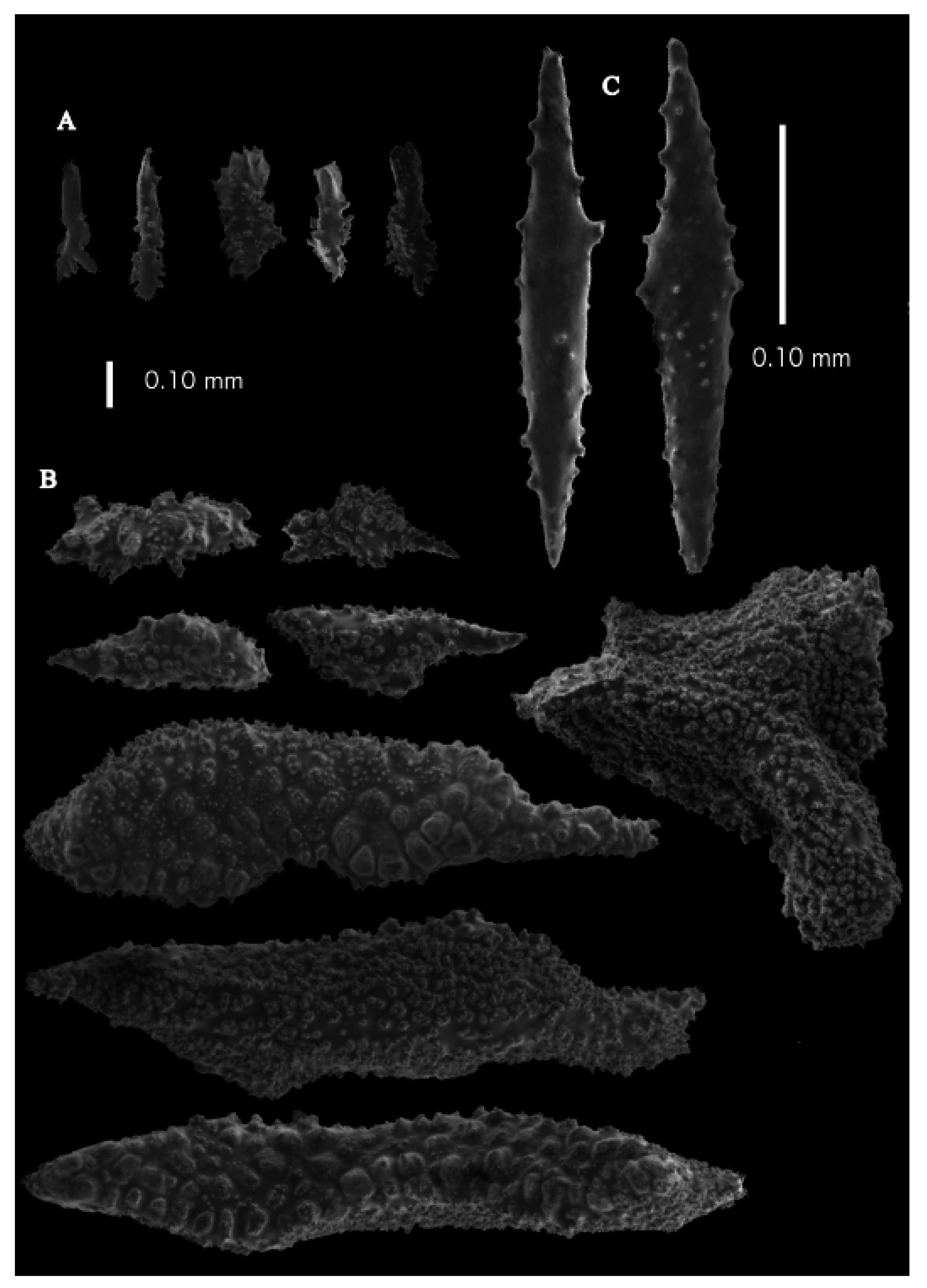 Taxonomy 03 00018 g009