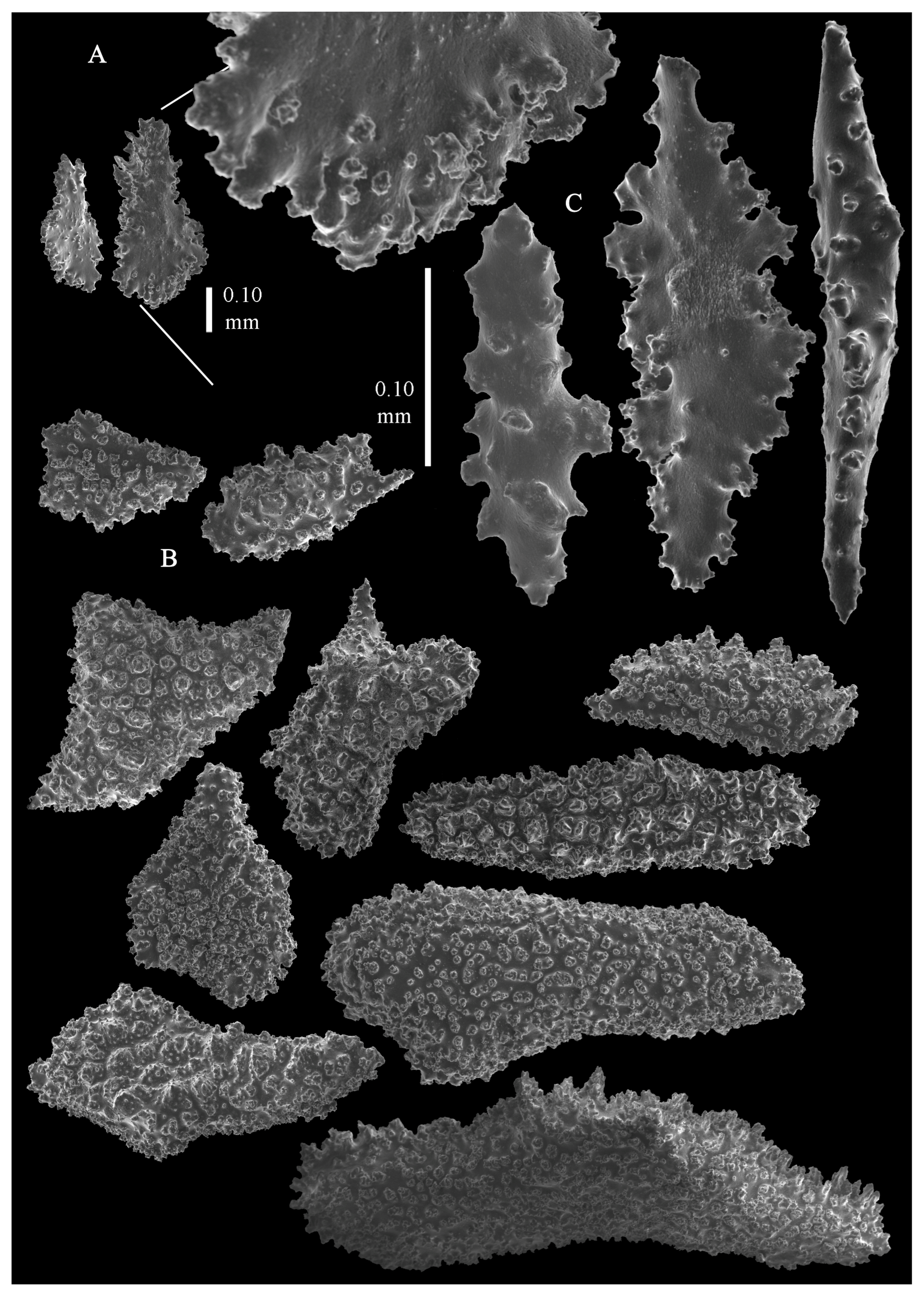 Taxonomy 03 00018 g018