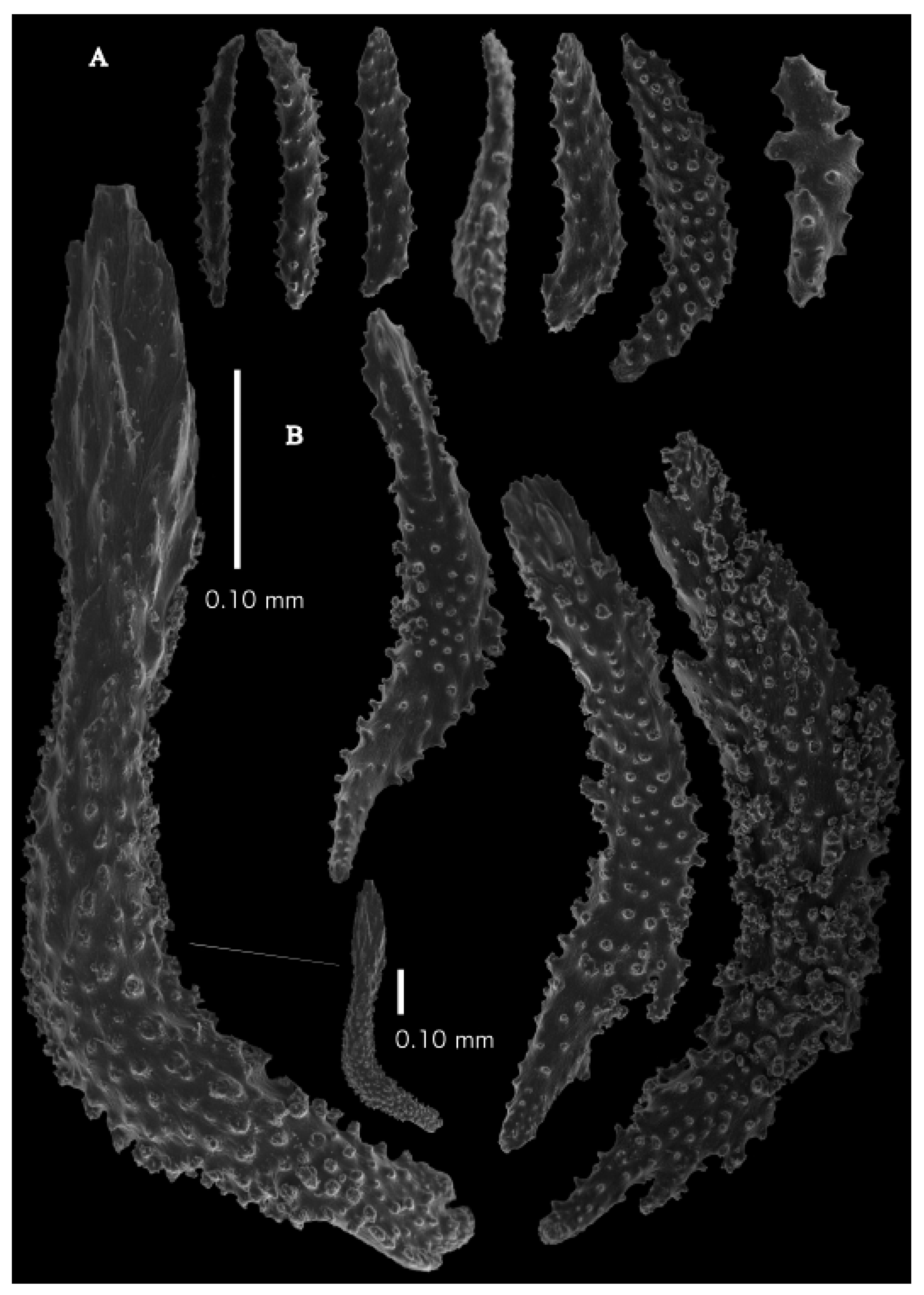 Taxonomy 03 00018 g020