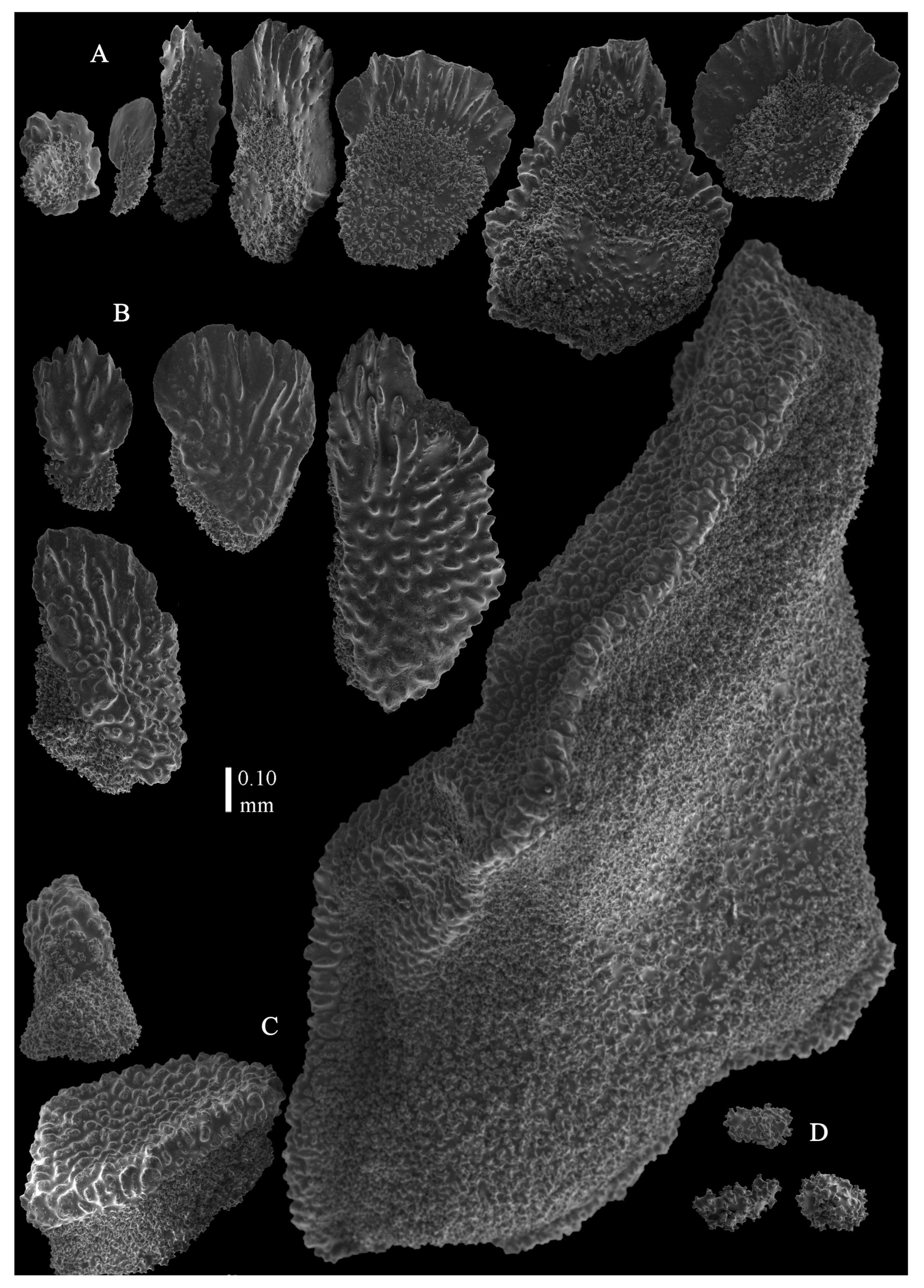 Taxonomy 03 00018 g023