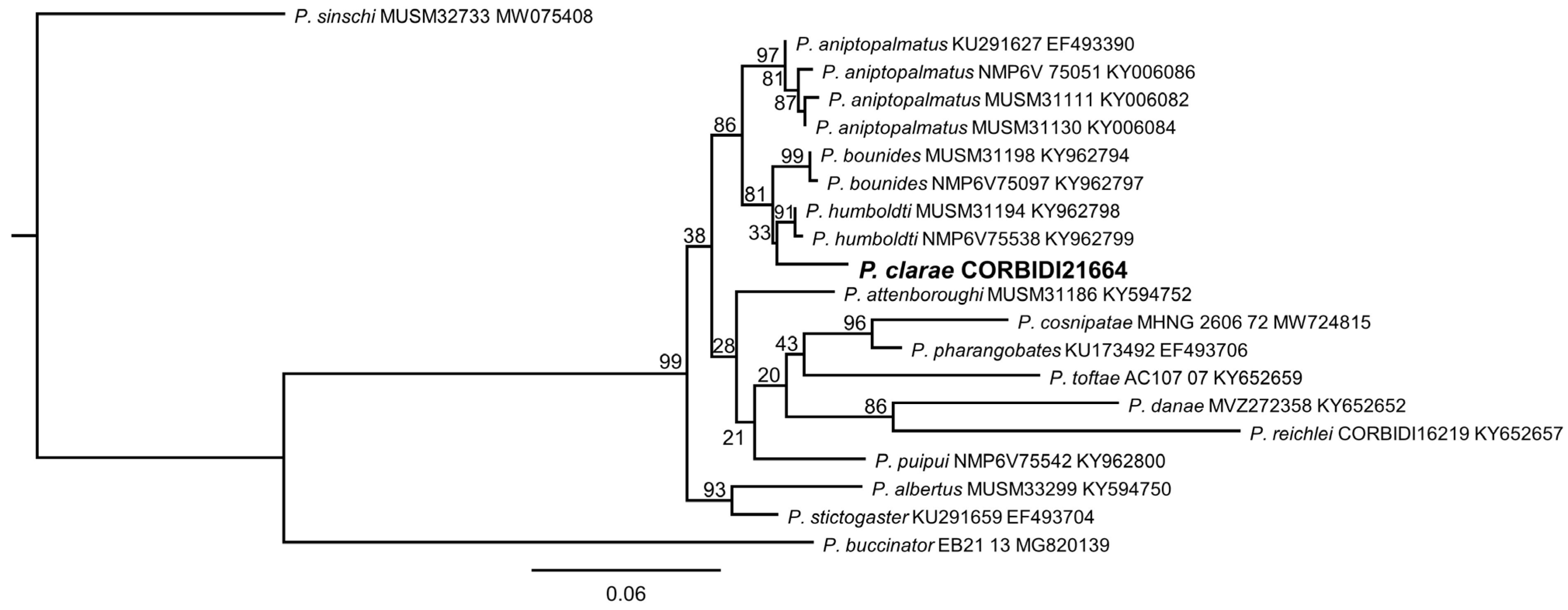 Taxonomy 03 00019 g001