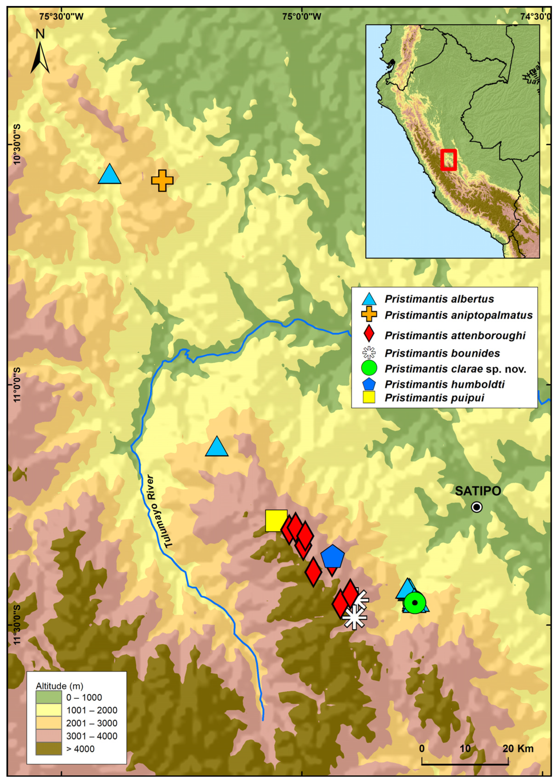 Taxonomy 03 00019 g002