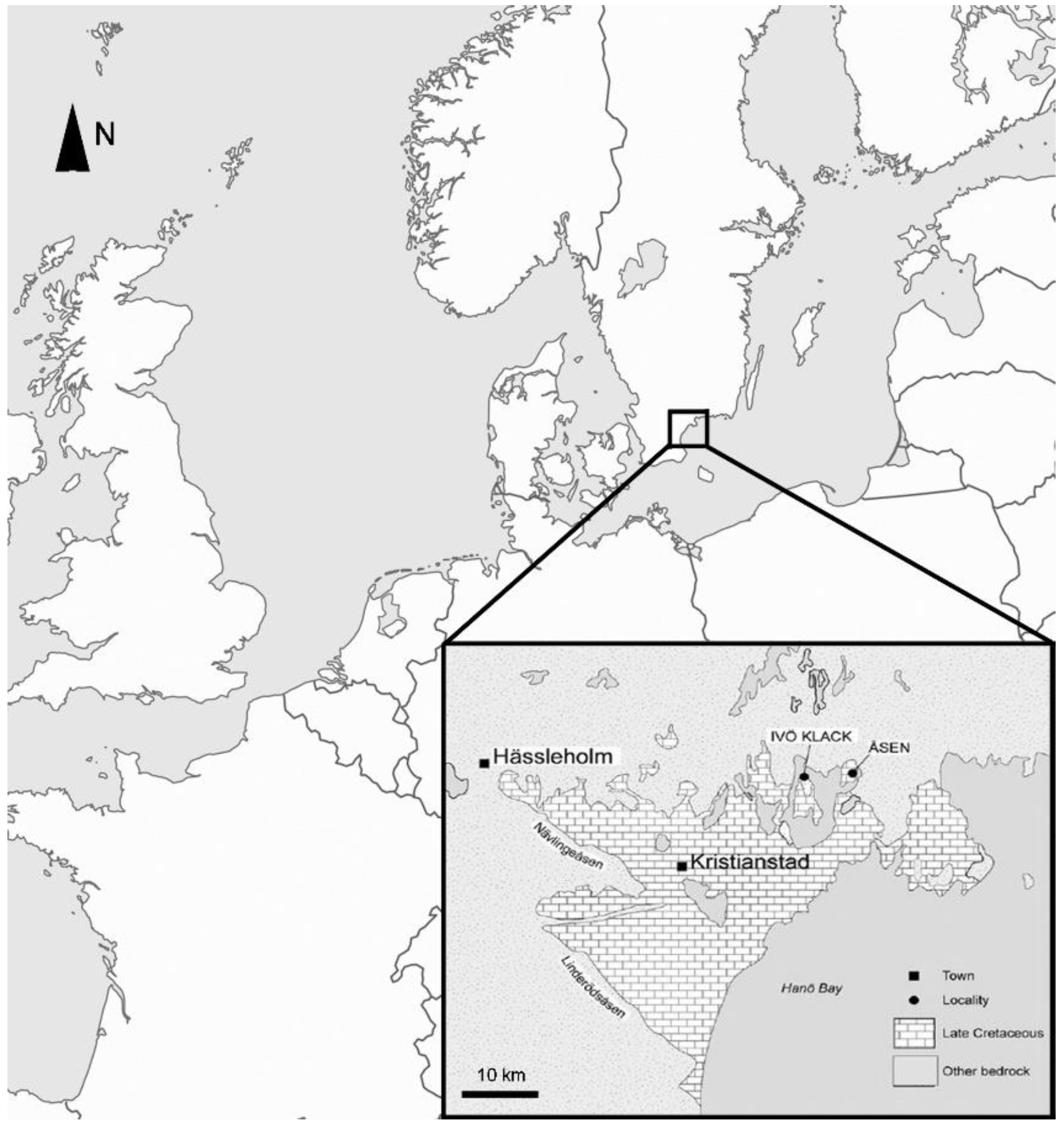 Taxonomy 03 00020 g001