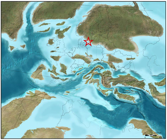 Taxonomy 03 00020 g002