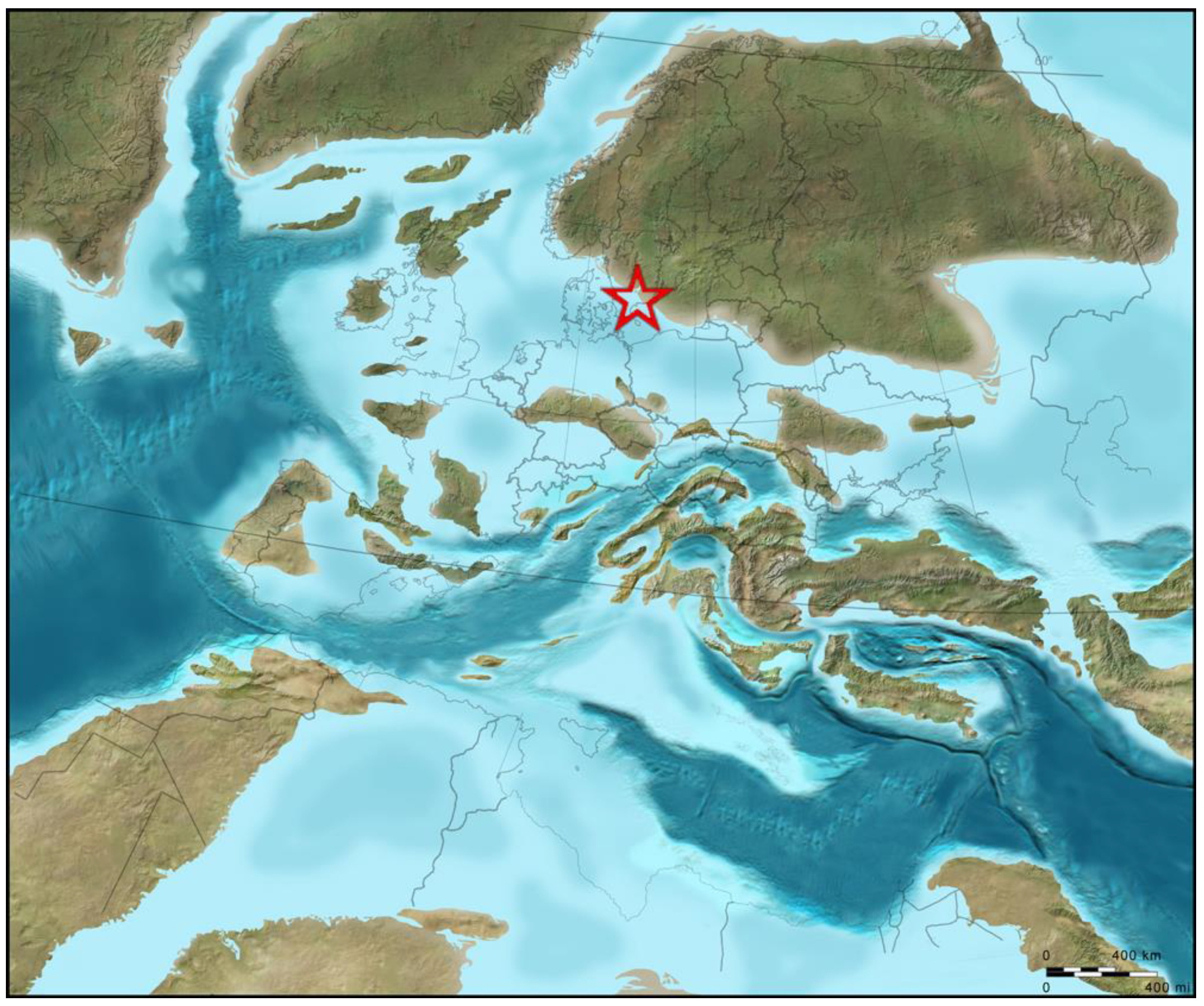 Taxonomy 03 00020 g002