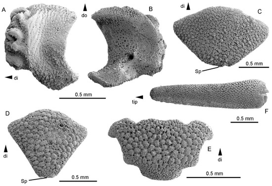 Taxonomy 03 00020 g004