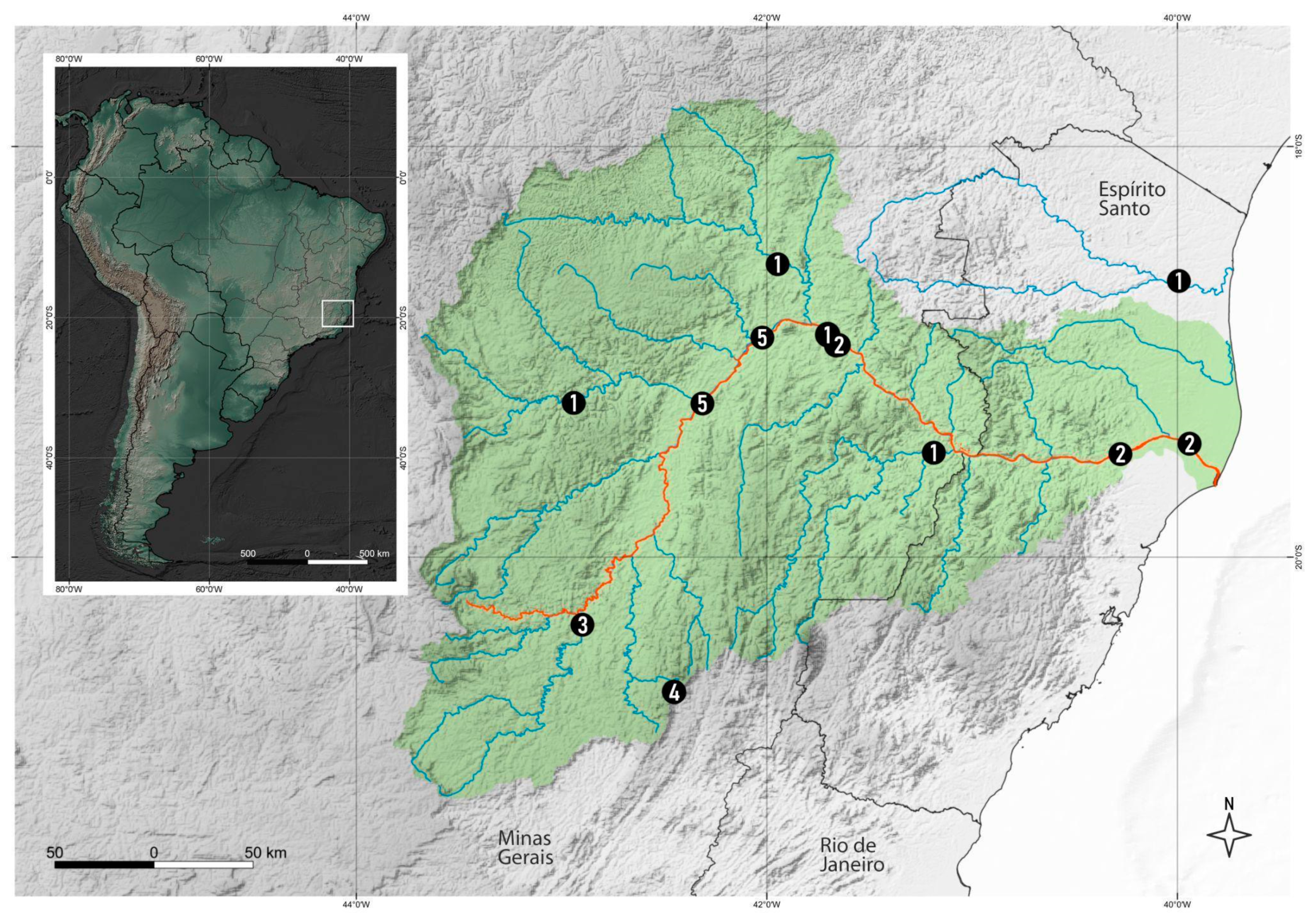 Taxonomy 03 00022 g001