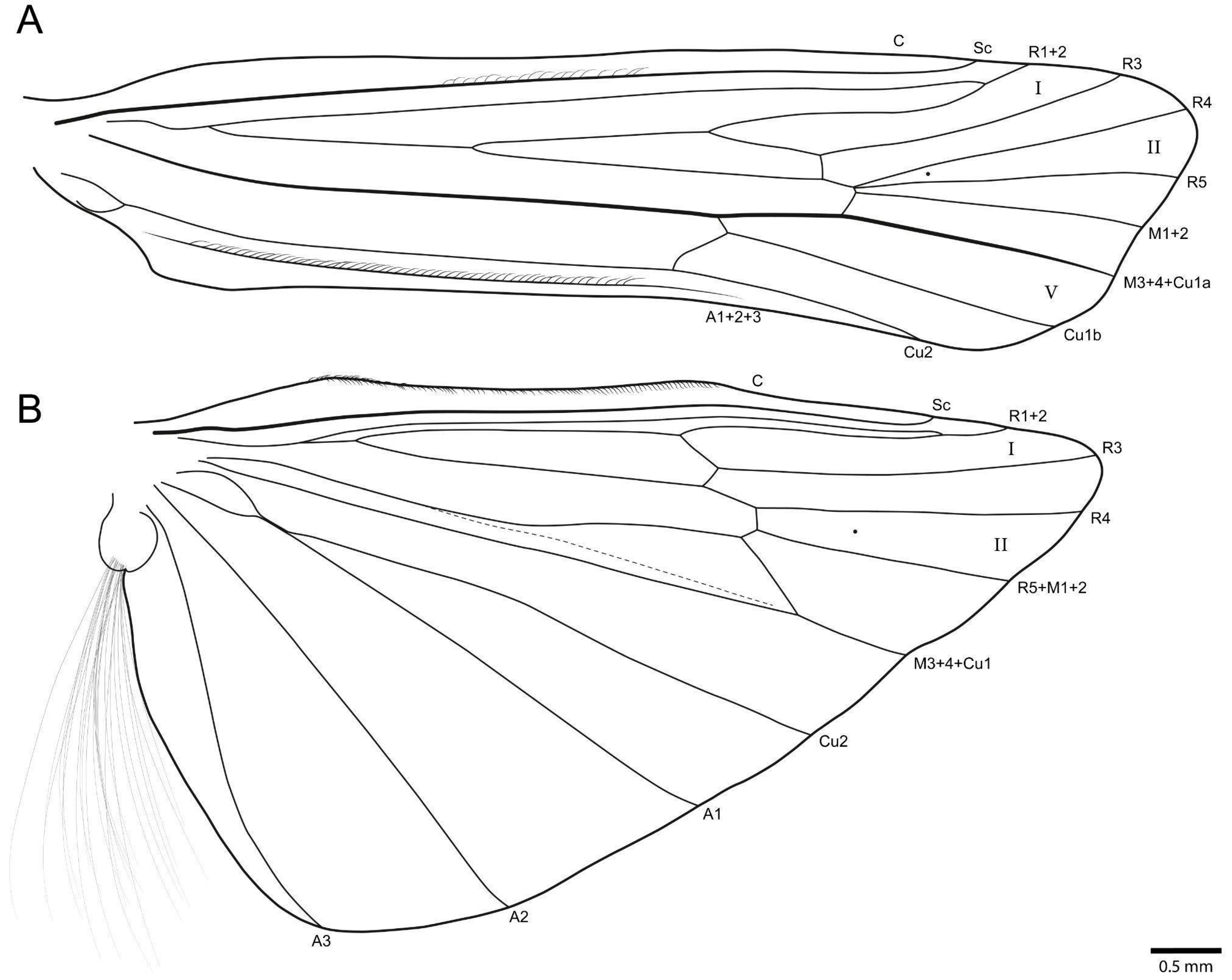 Taxonomy 03 00022 g006